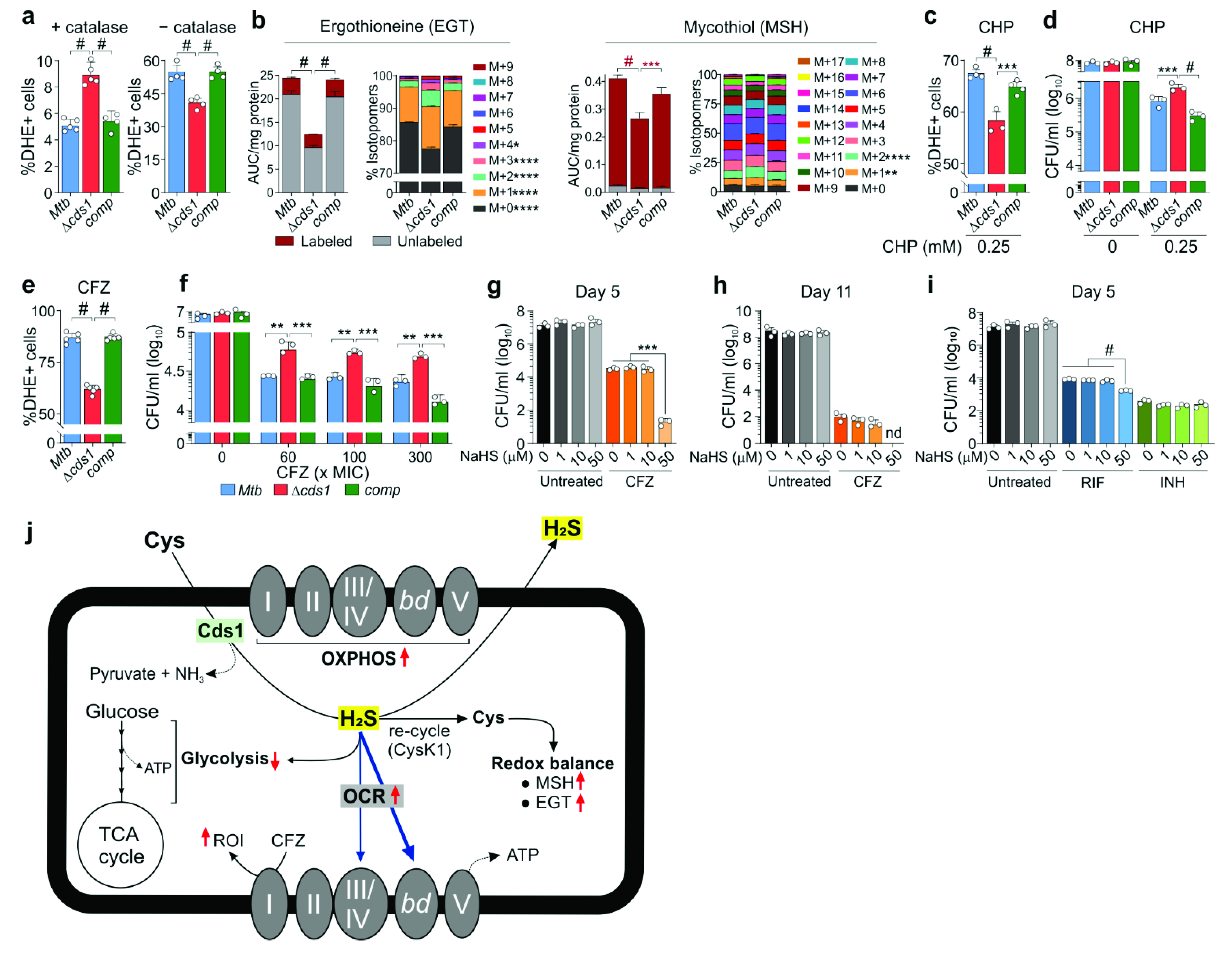 Antioxidants 10 01285 g008 550