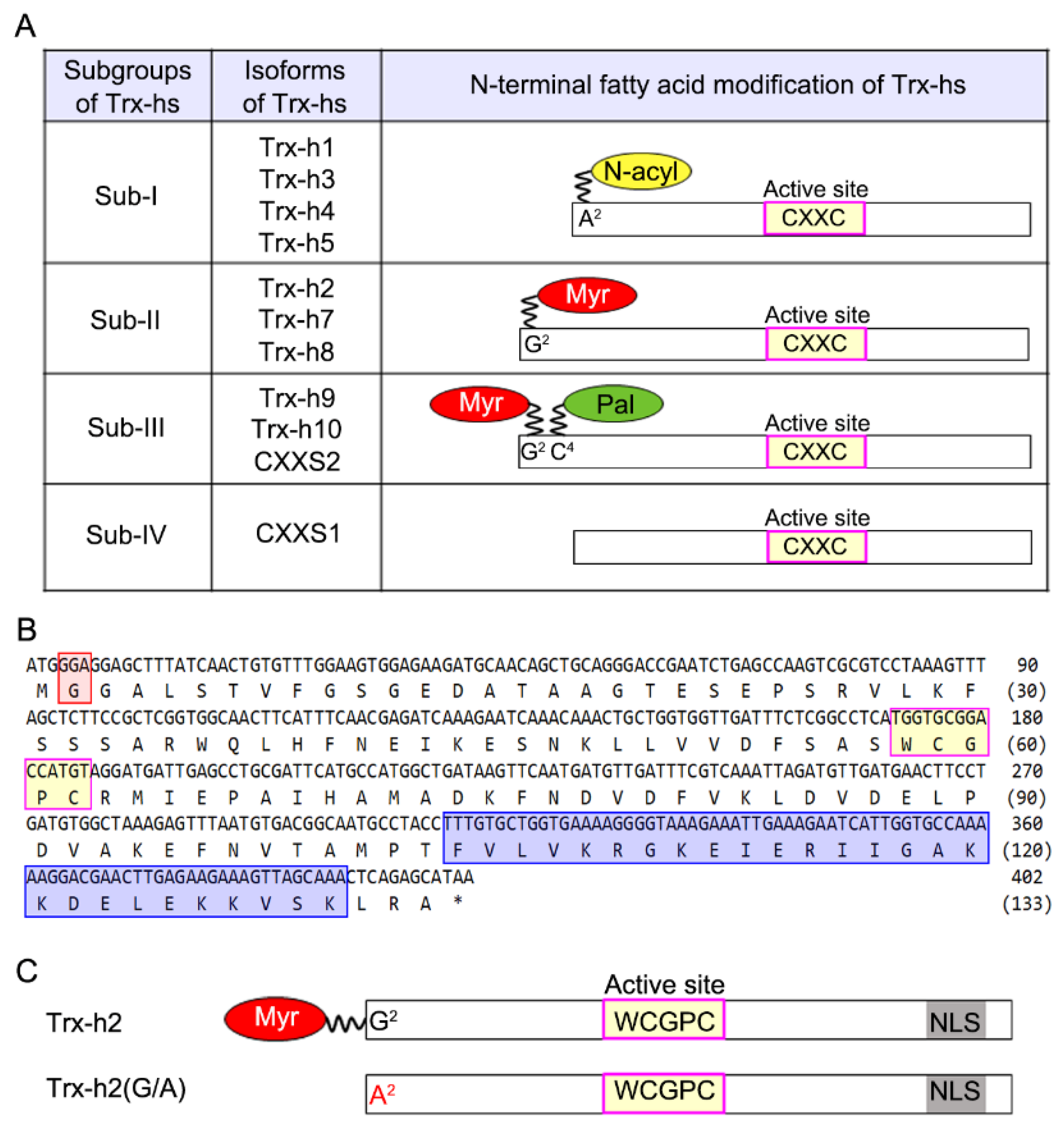 Antioxidants 10 01287 g001 550