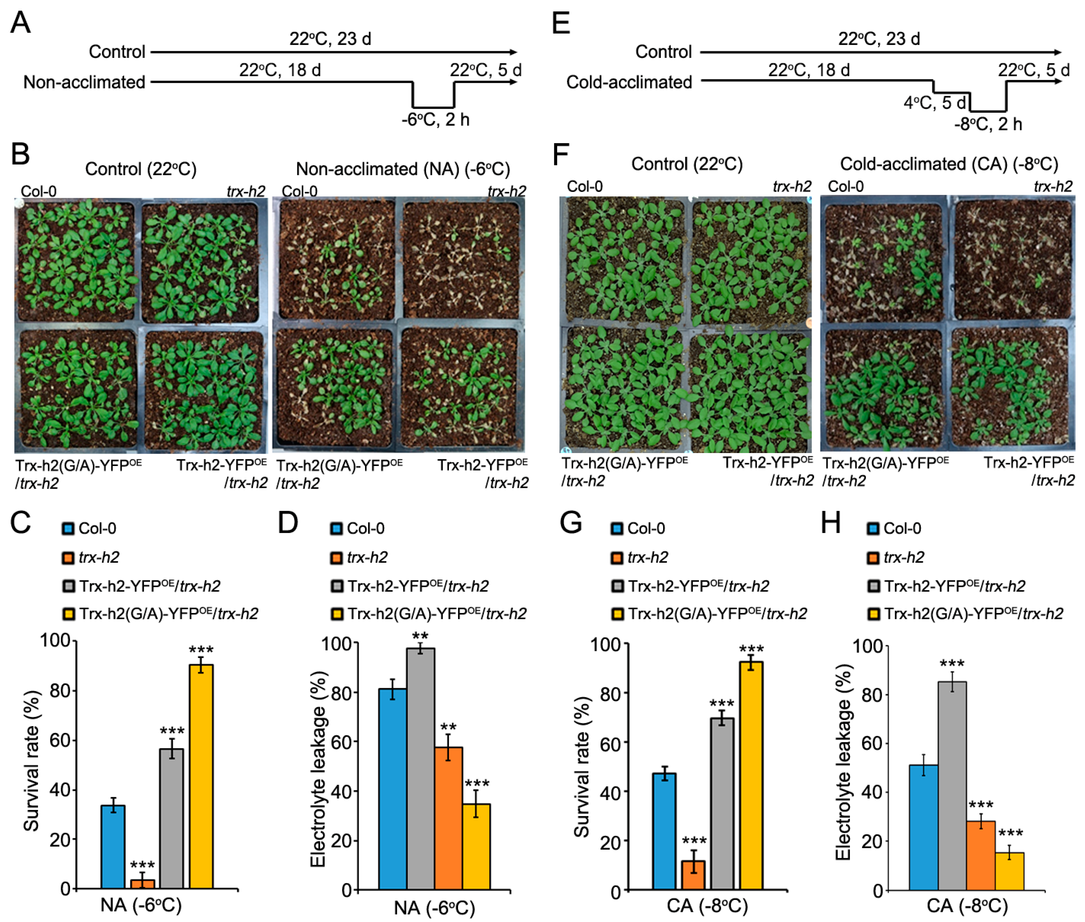 Antioxidants 10 01287 g007 550