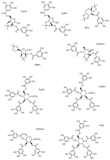 Antioxidants 10 01288 g001 550