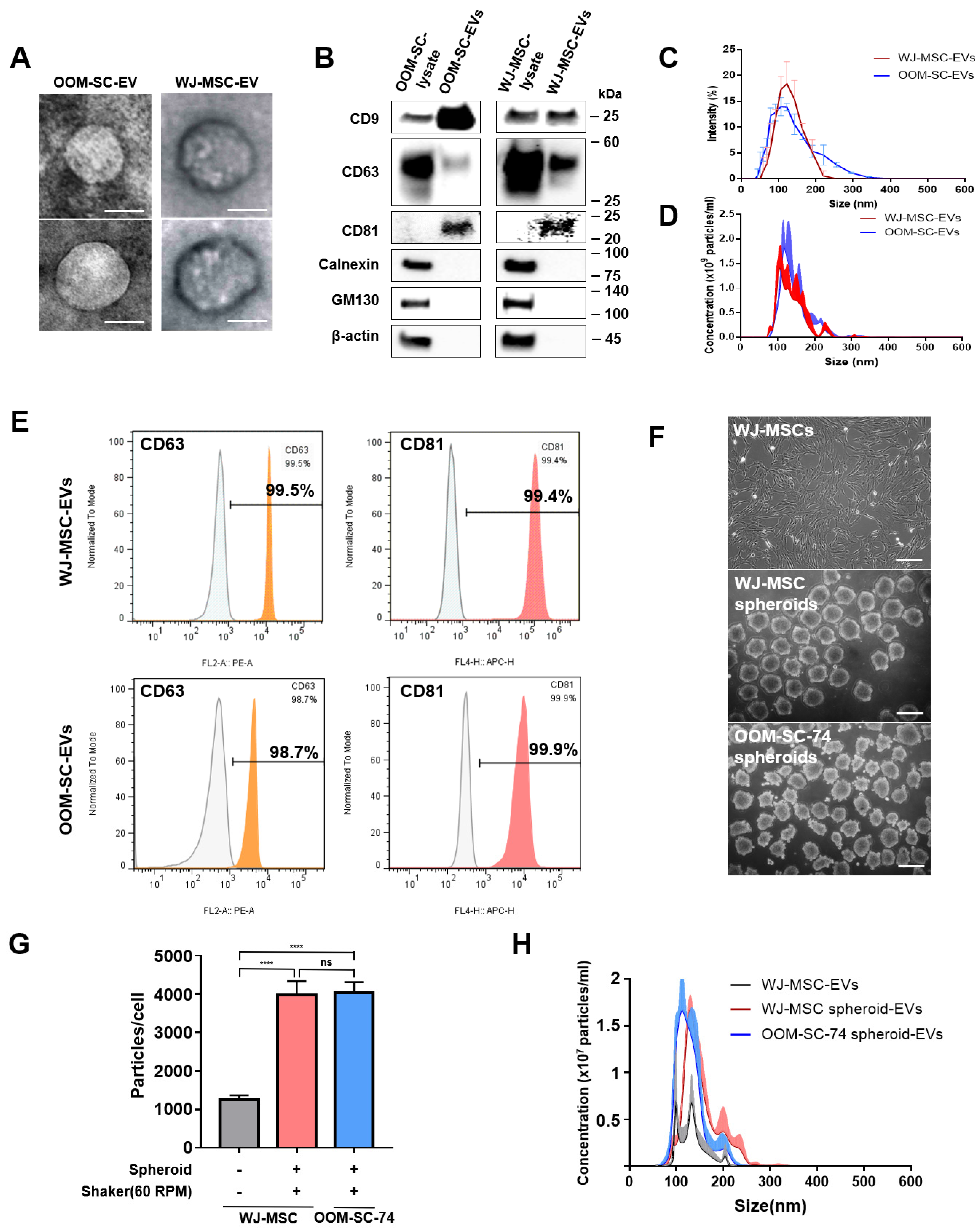 Antioxidants 10 01292 g003 Antioxidants 10 01292 g003