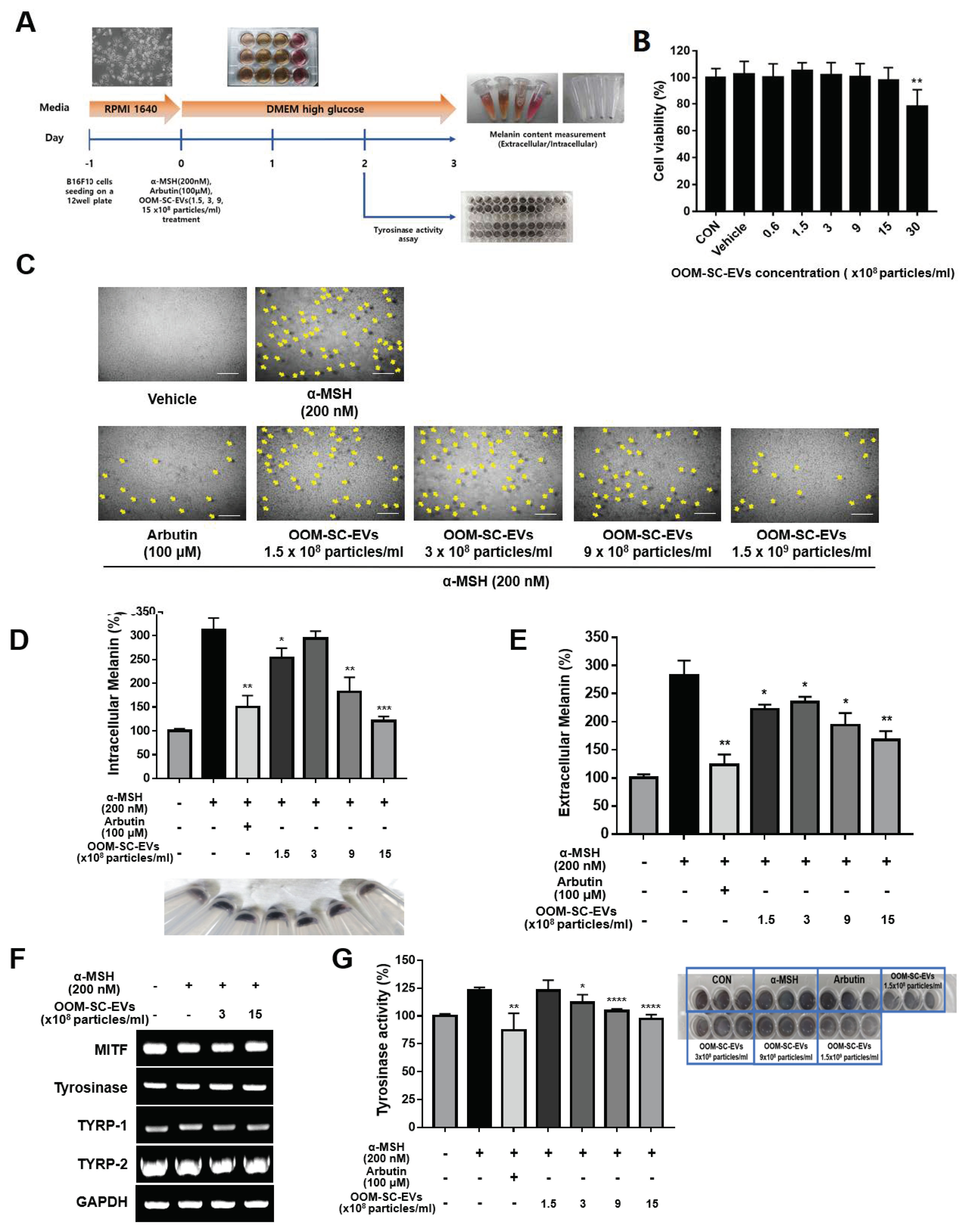 Antioxidants 10 01292 g005 Antioxidants 10 01292 g005