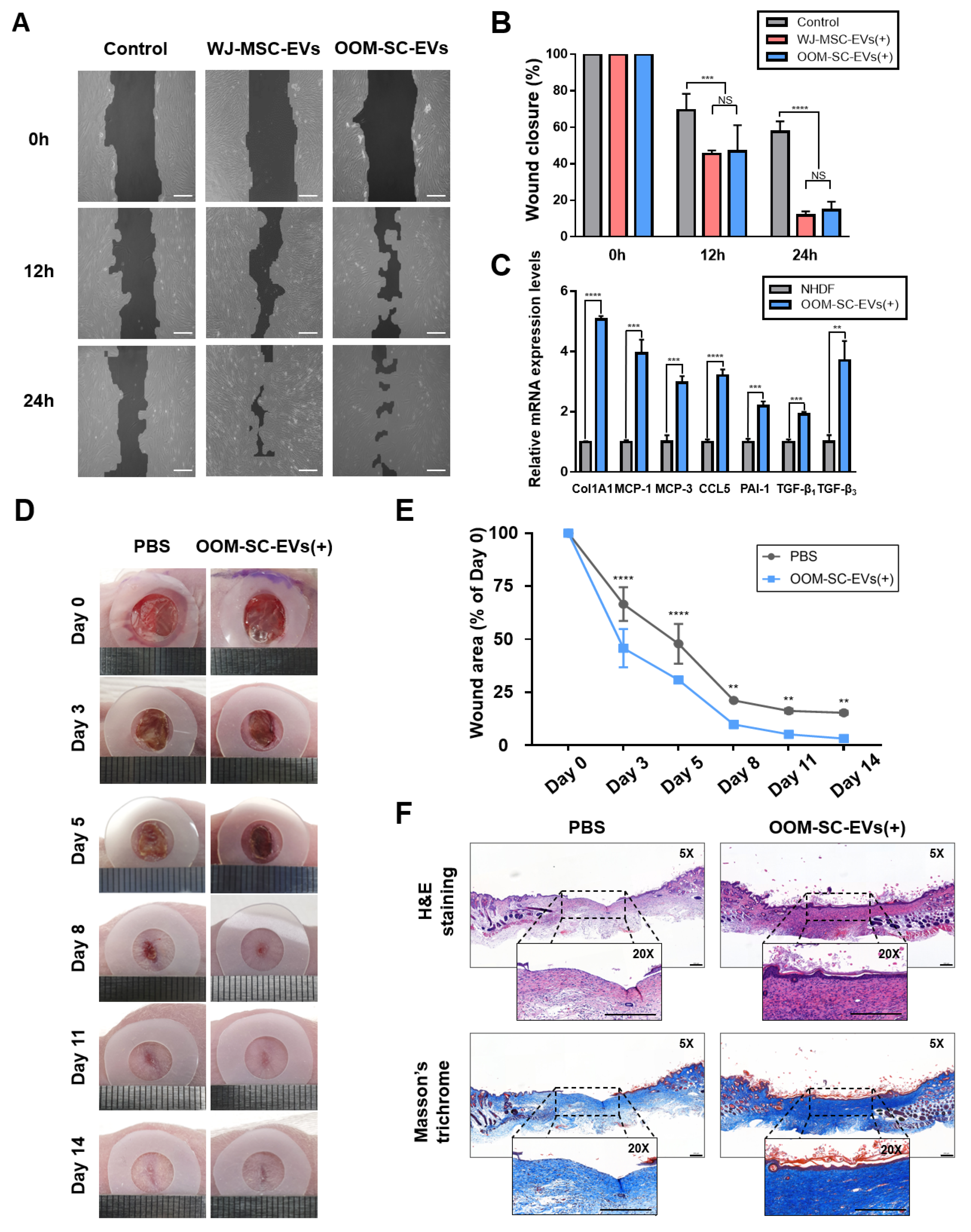 Antioxidants 10 01292 g006 Antioxidants 10 01292 g006