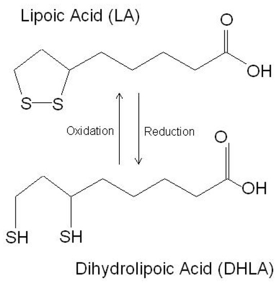 Antioxidants 10 01294 g001 550