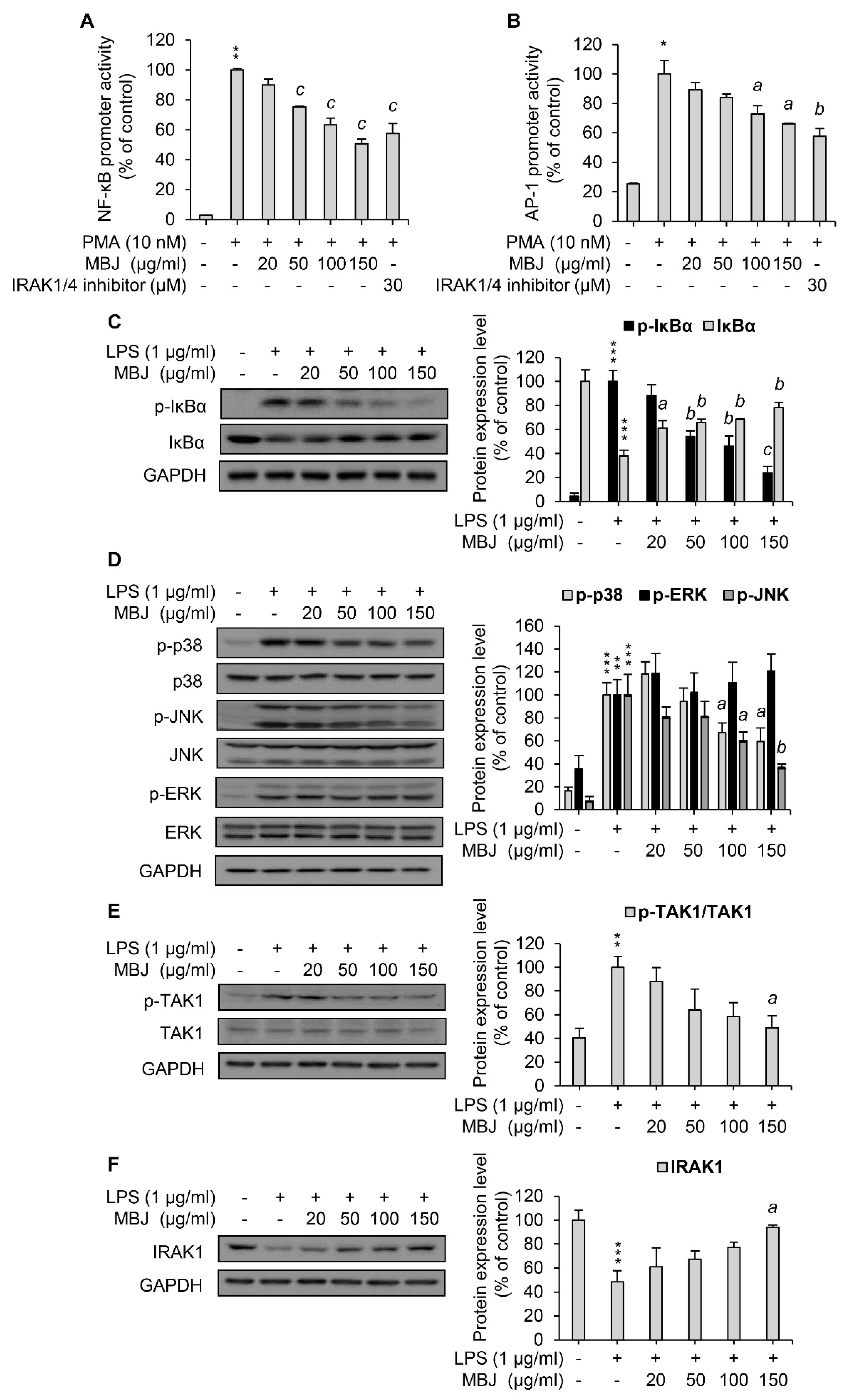 Antioxidants 10 01295 g002 550