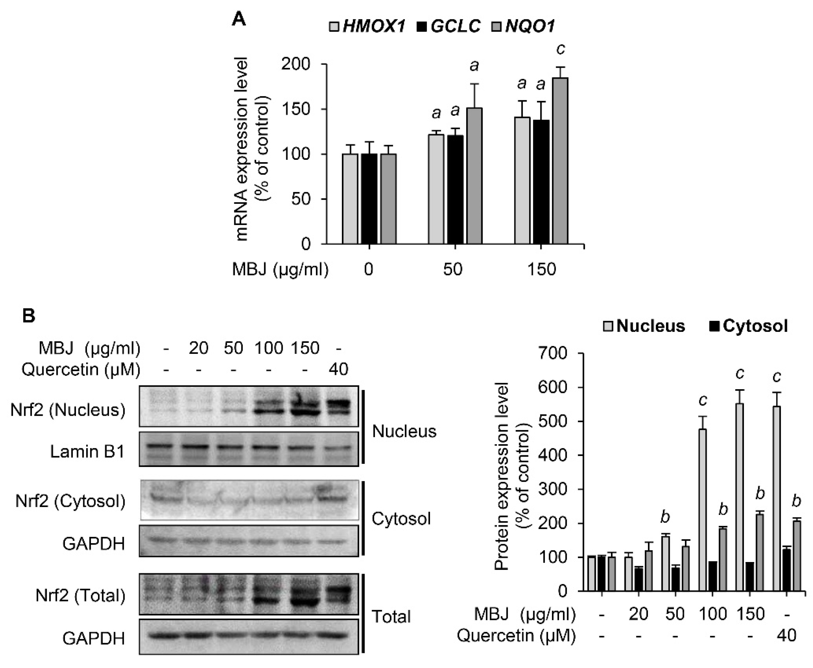Antioxidants 10 01295 g003 550