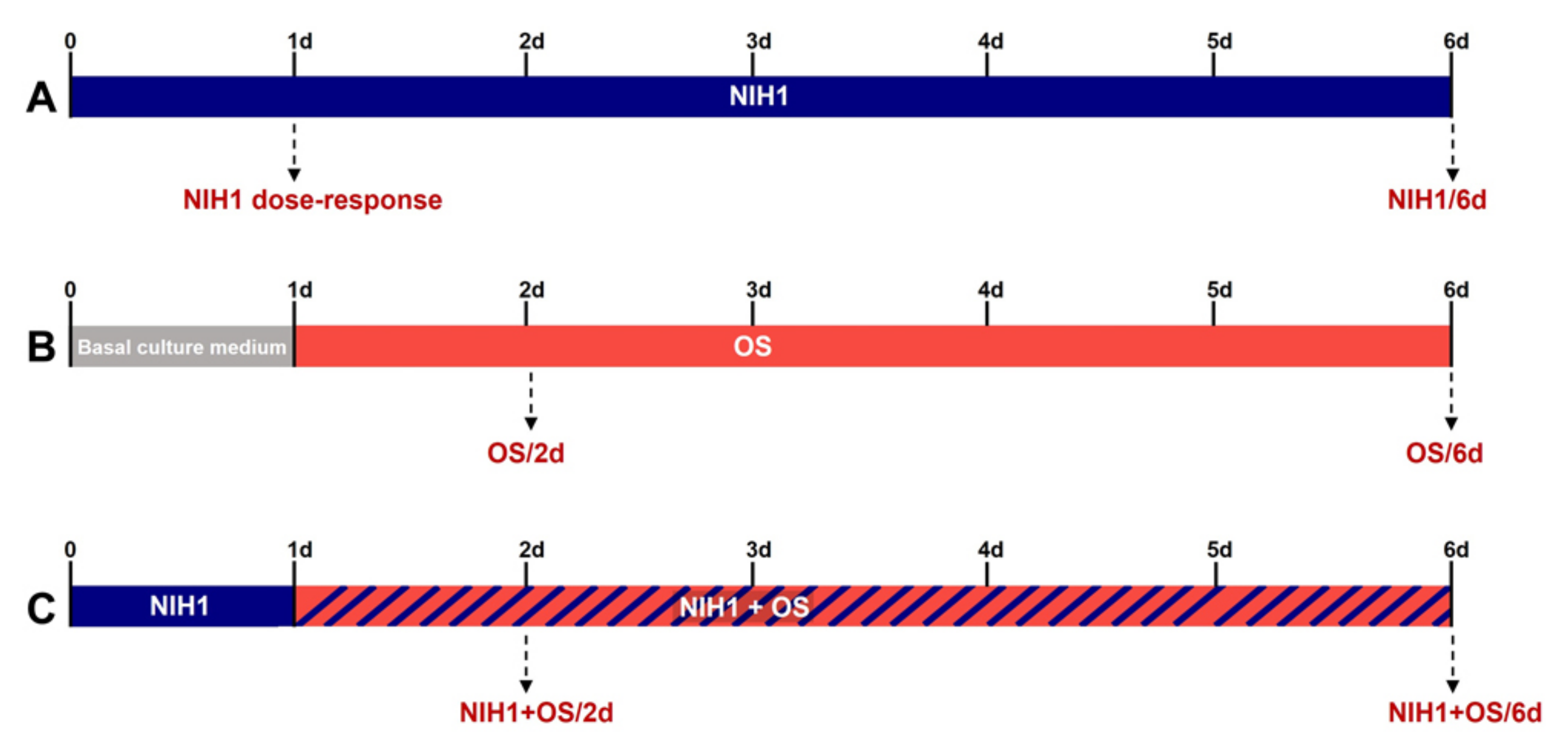 Antioxidants 10 01296 g001