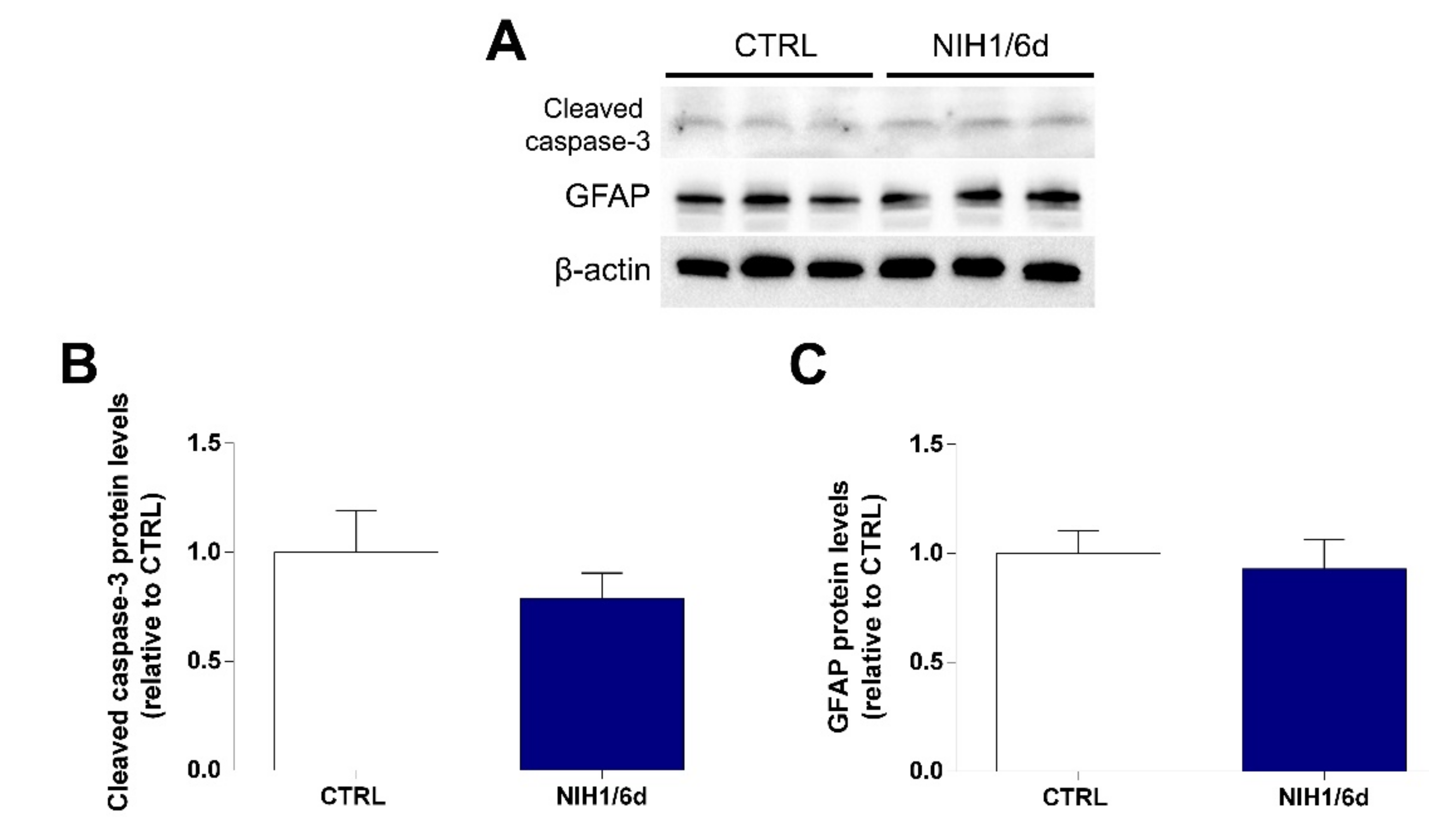 Antioxidants 10 01296 g004