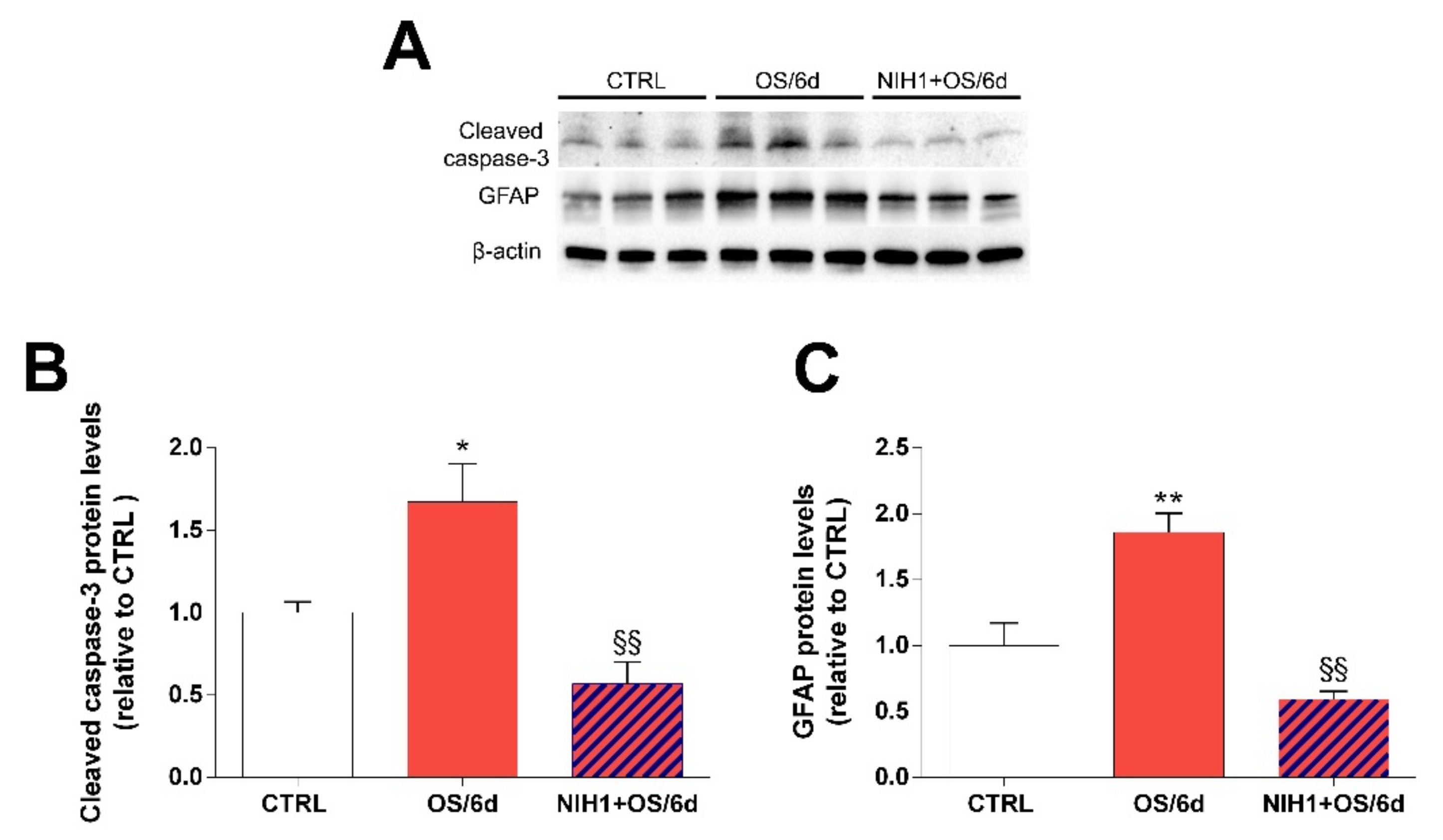 Antioxidants 10 01296 g008