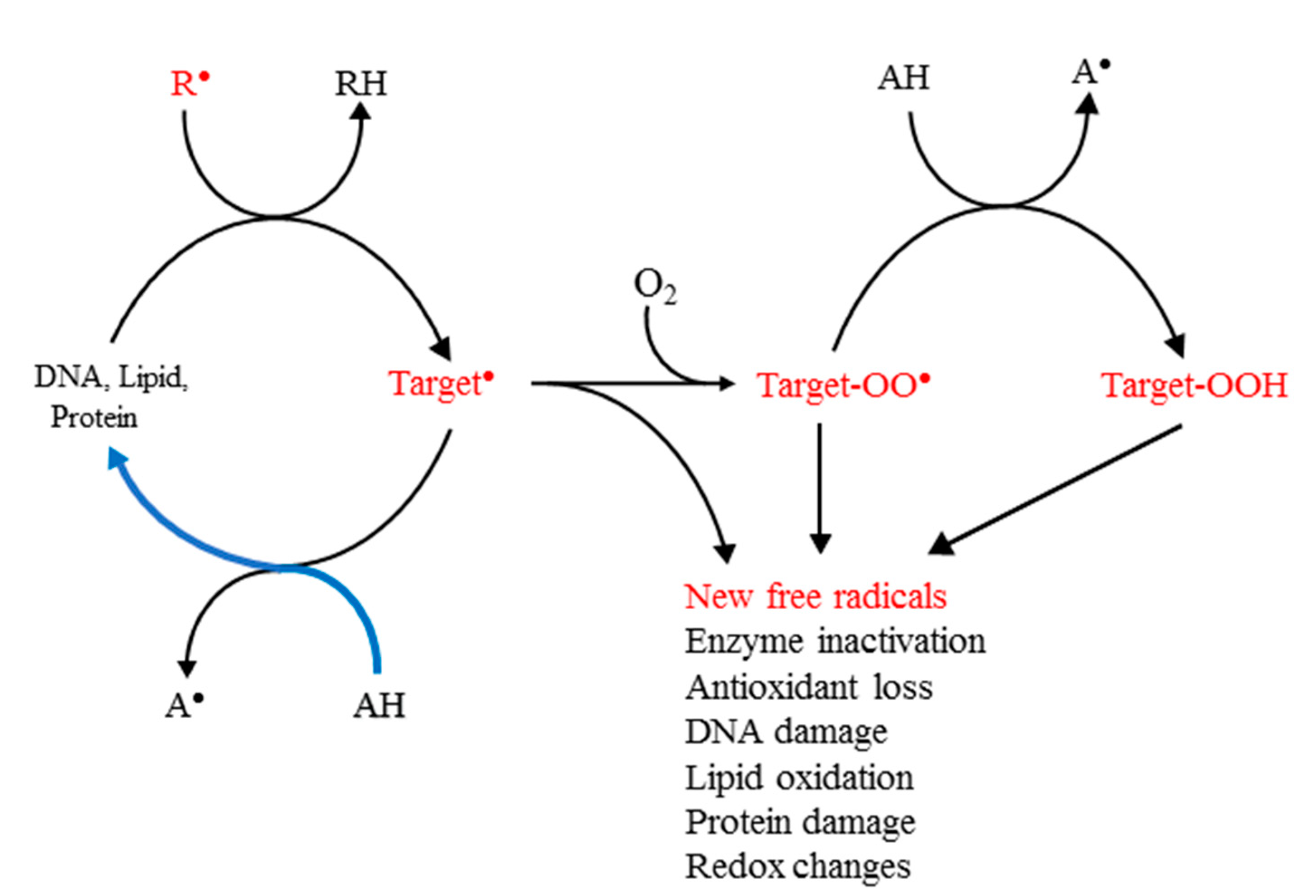 Antioxidants 10 01297 sch001