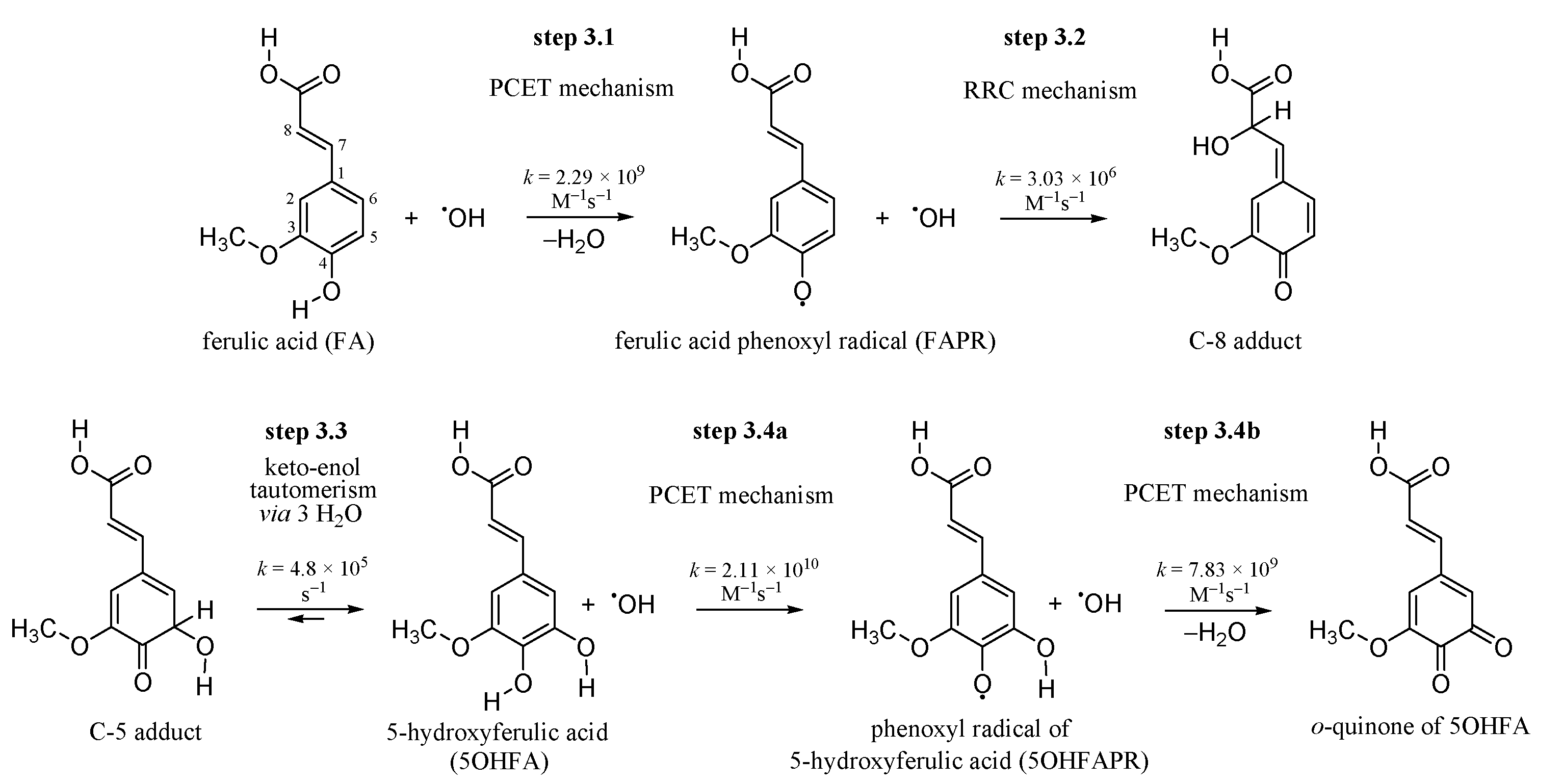 Antioxidants 10 01303 g001 Antioxidants 10 01303 g001