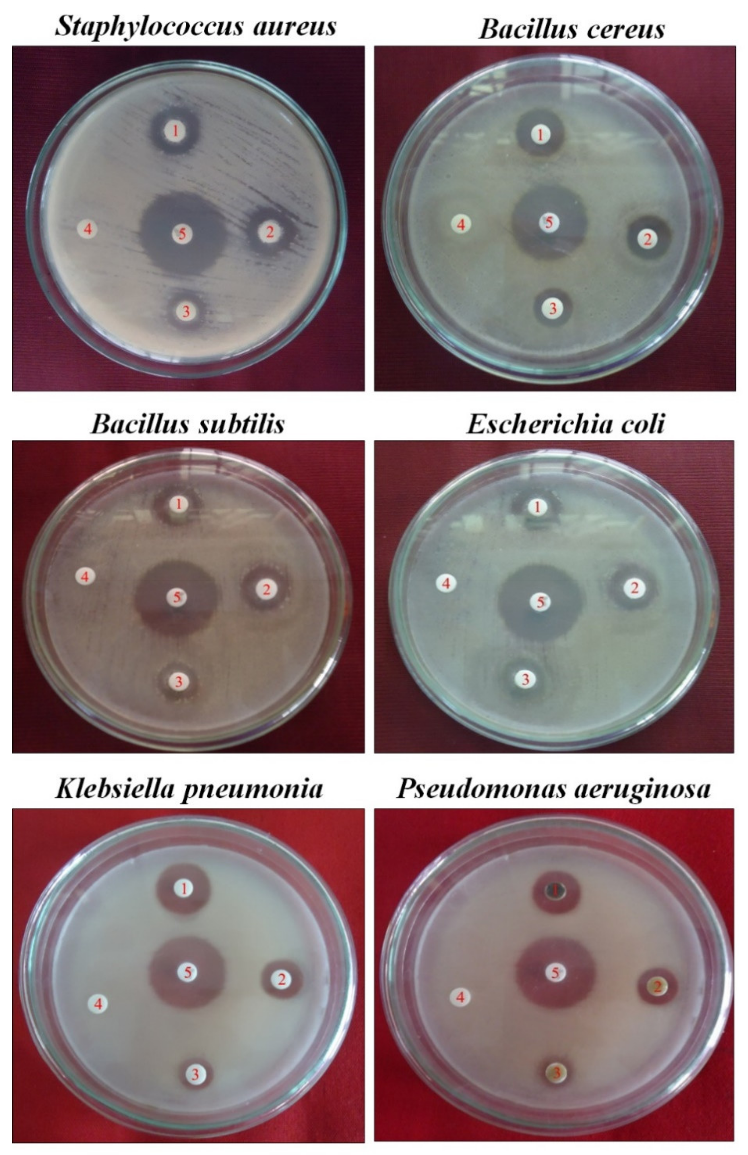 Antioxidants 10 01307 g002