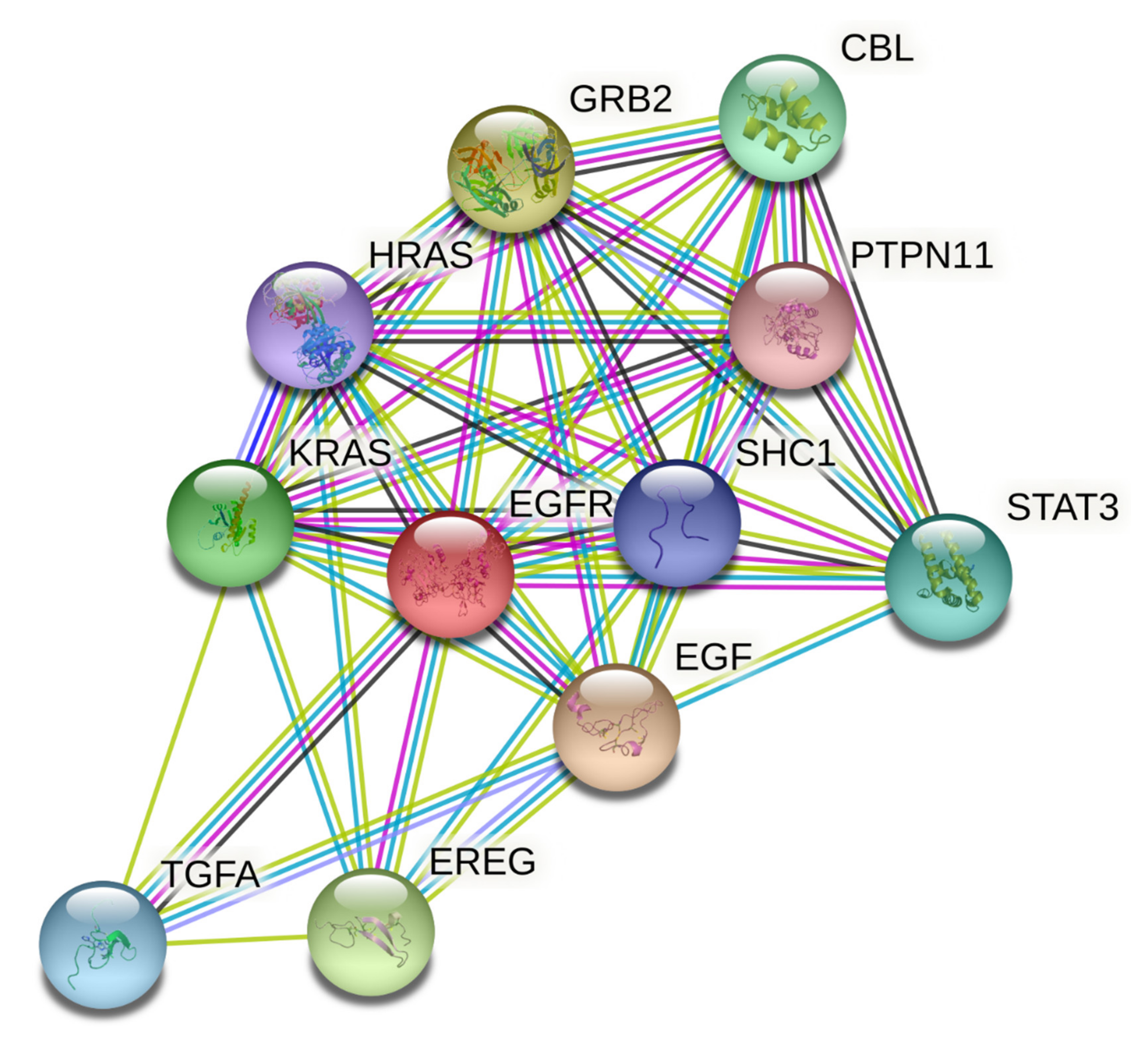 Antioxidants 10 01307 g006