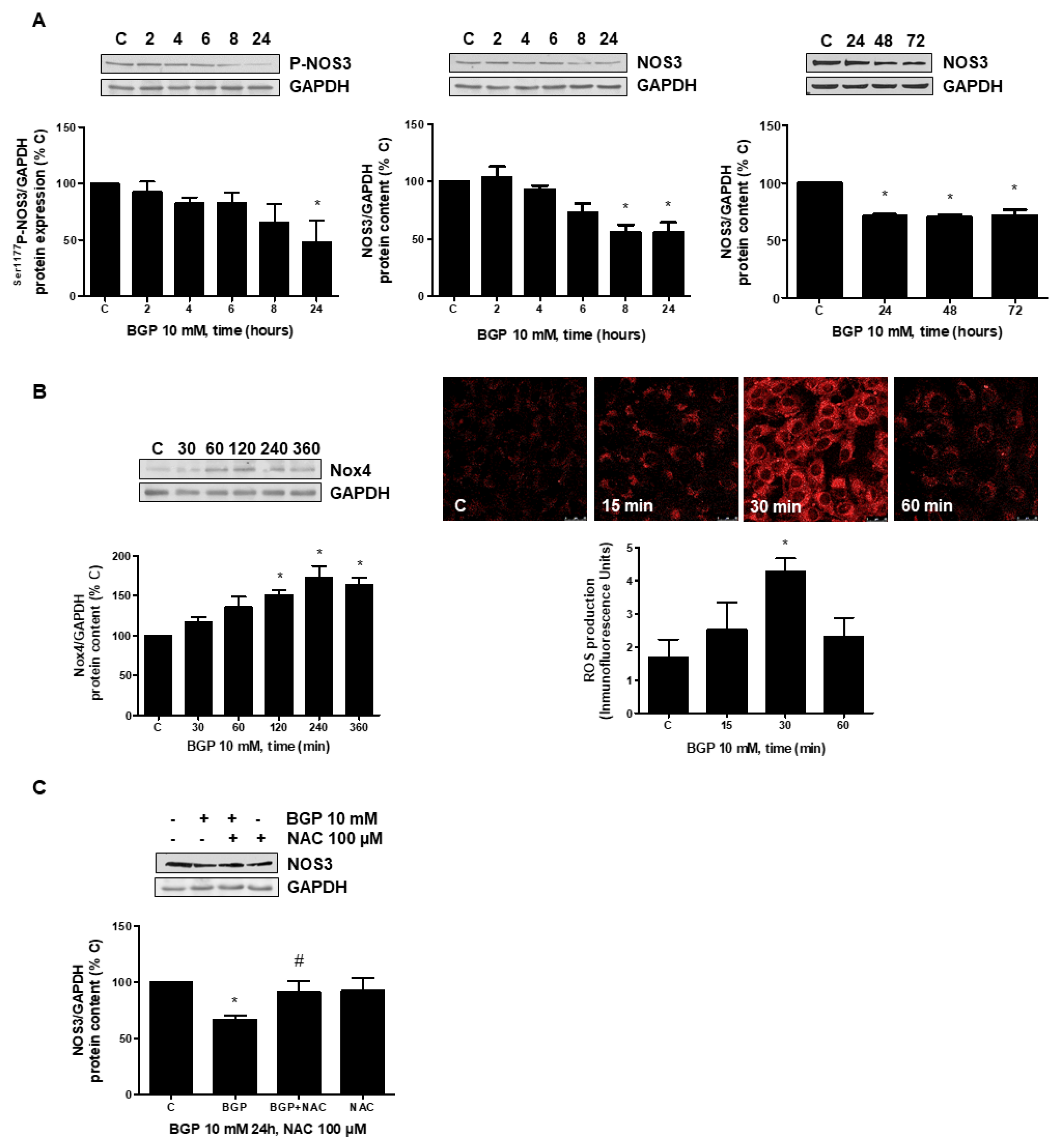 Antioxidants 10 01308 g005 550