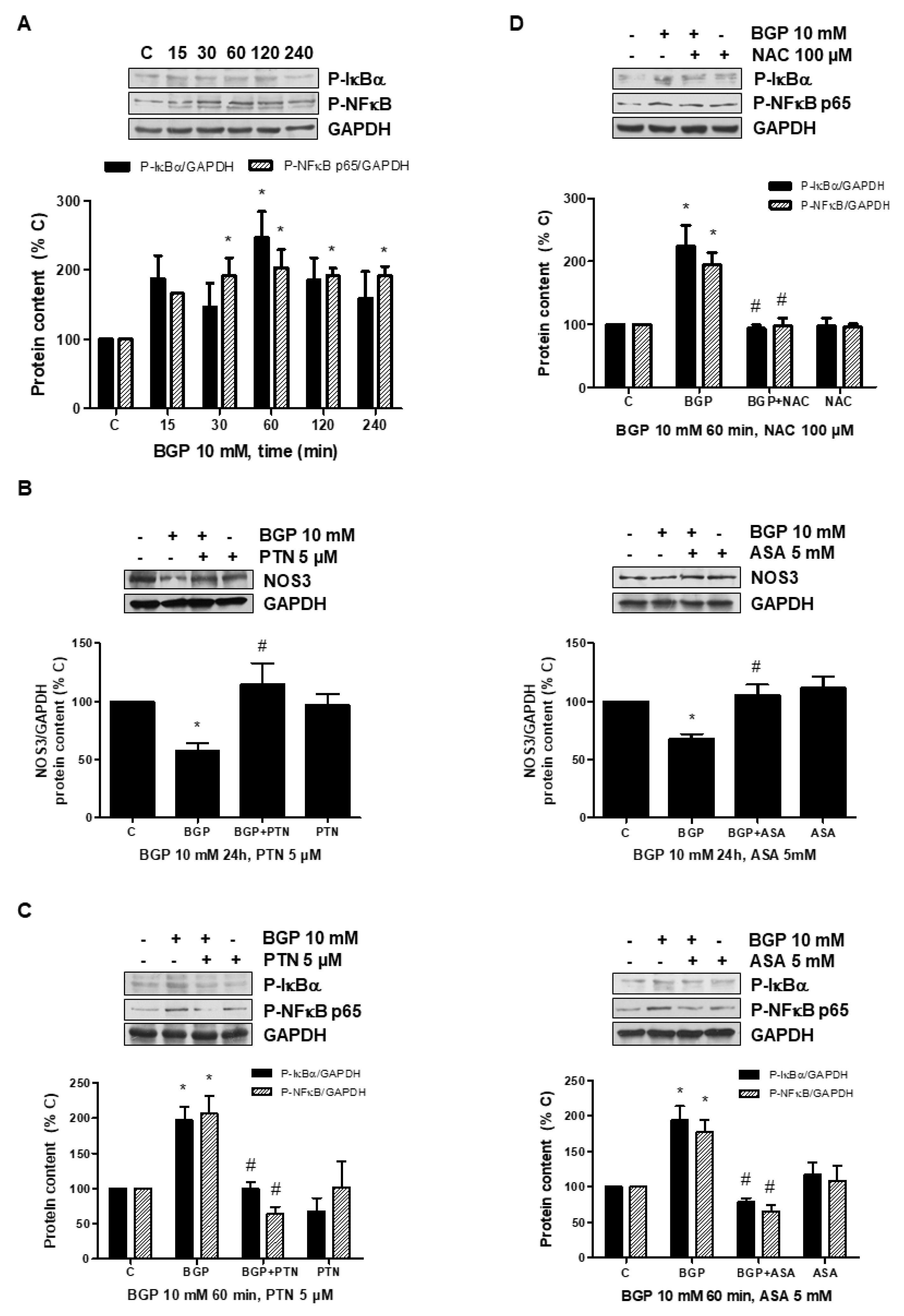Antioxidants 10 01308 g006 550
