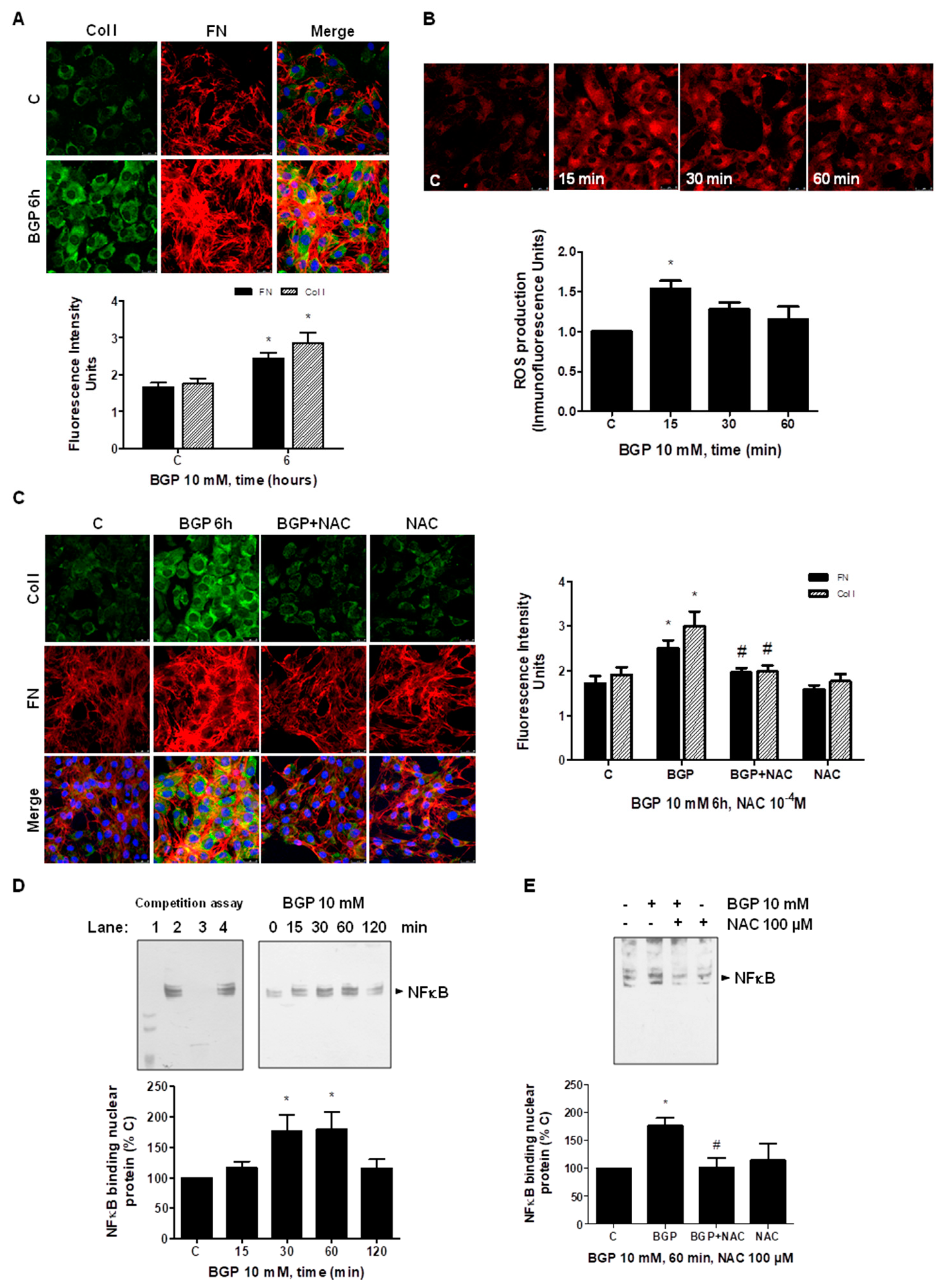 Antioxidants 10 01308 g008 550