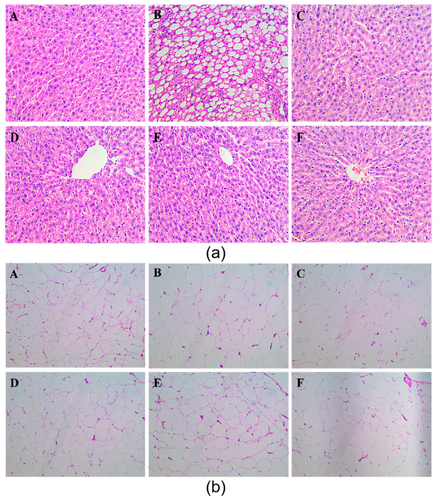 Antioxidants 10 01309 g002 550