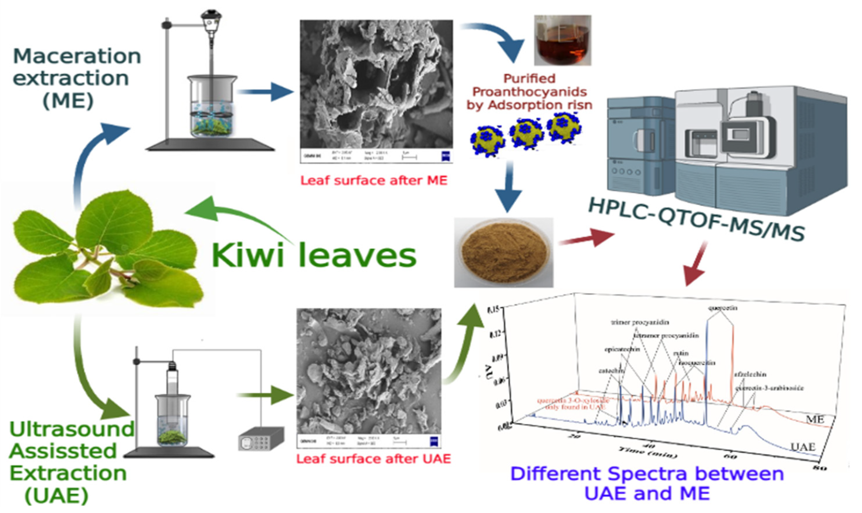 Antioxidants 10 01317 g001 550
