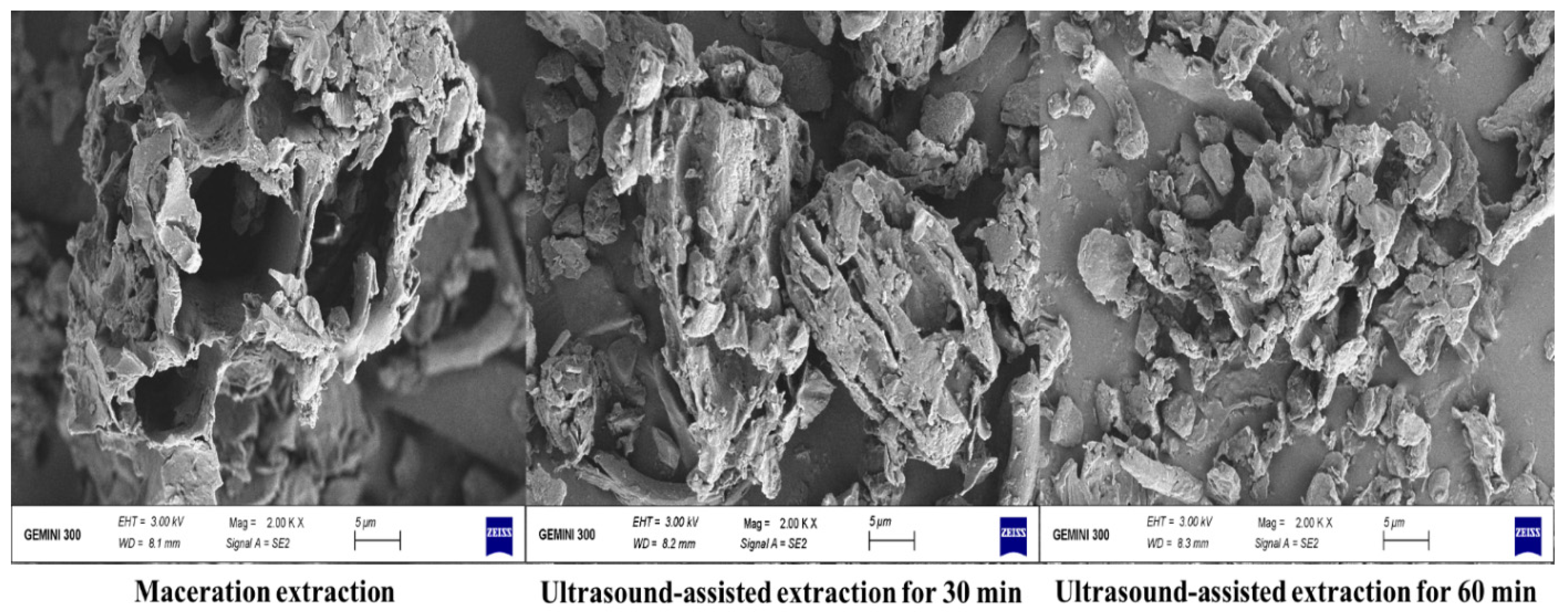Antioxidants 10 01317 g006 550