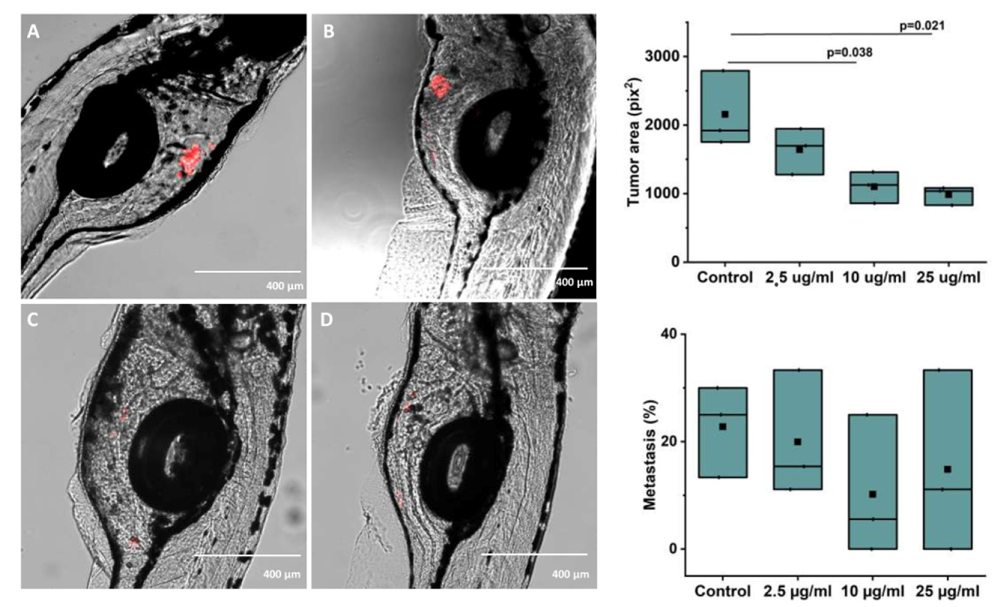 Antioxidants 10 01319 g005 Antioxidants 10 01319 g005