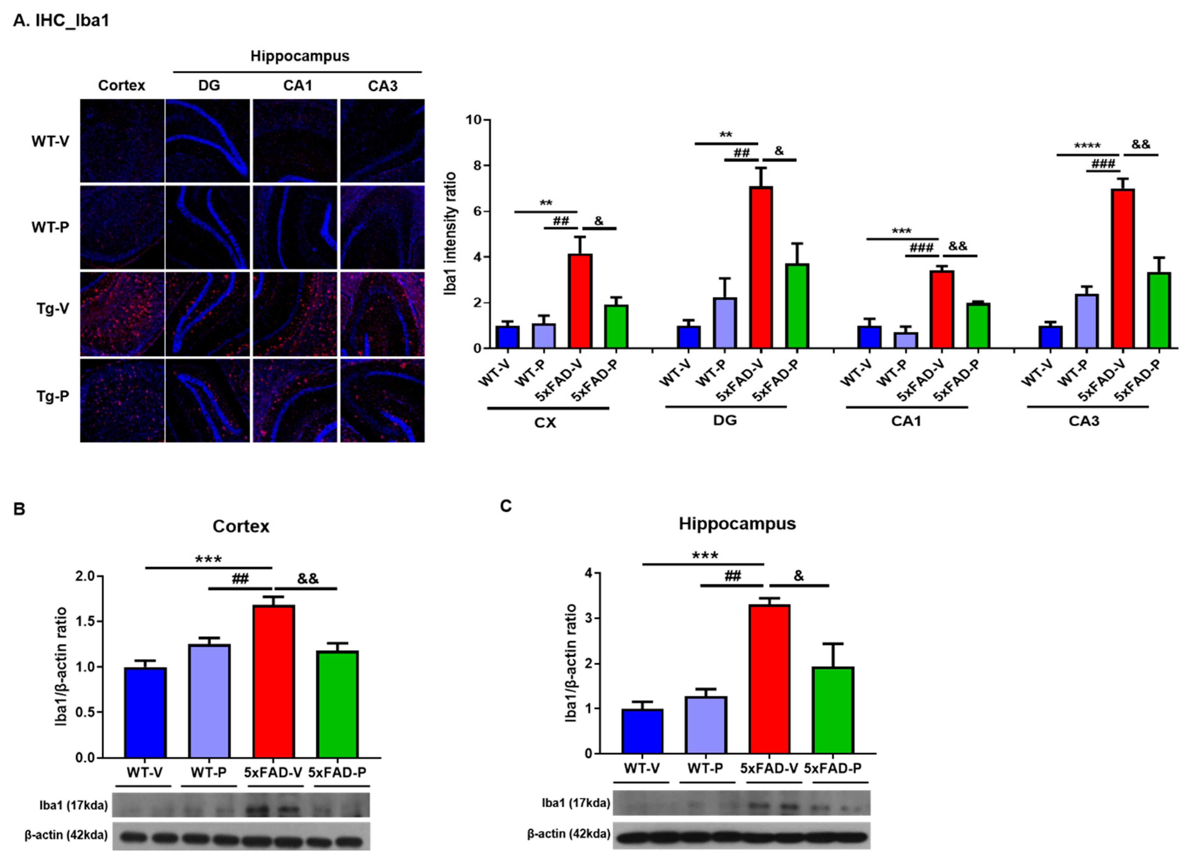 Antioxidants 10 01321 g004 550