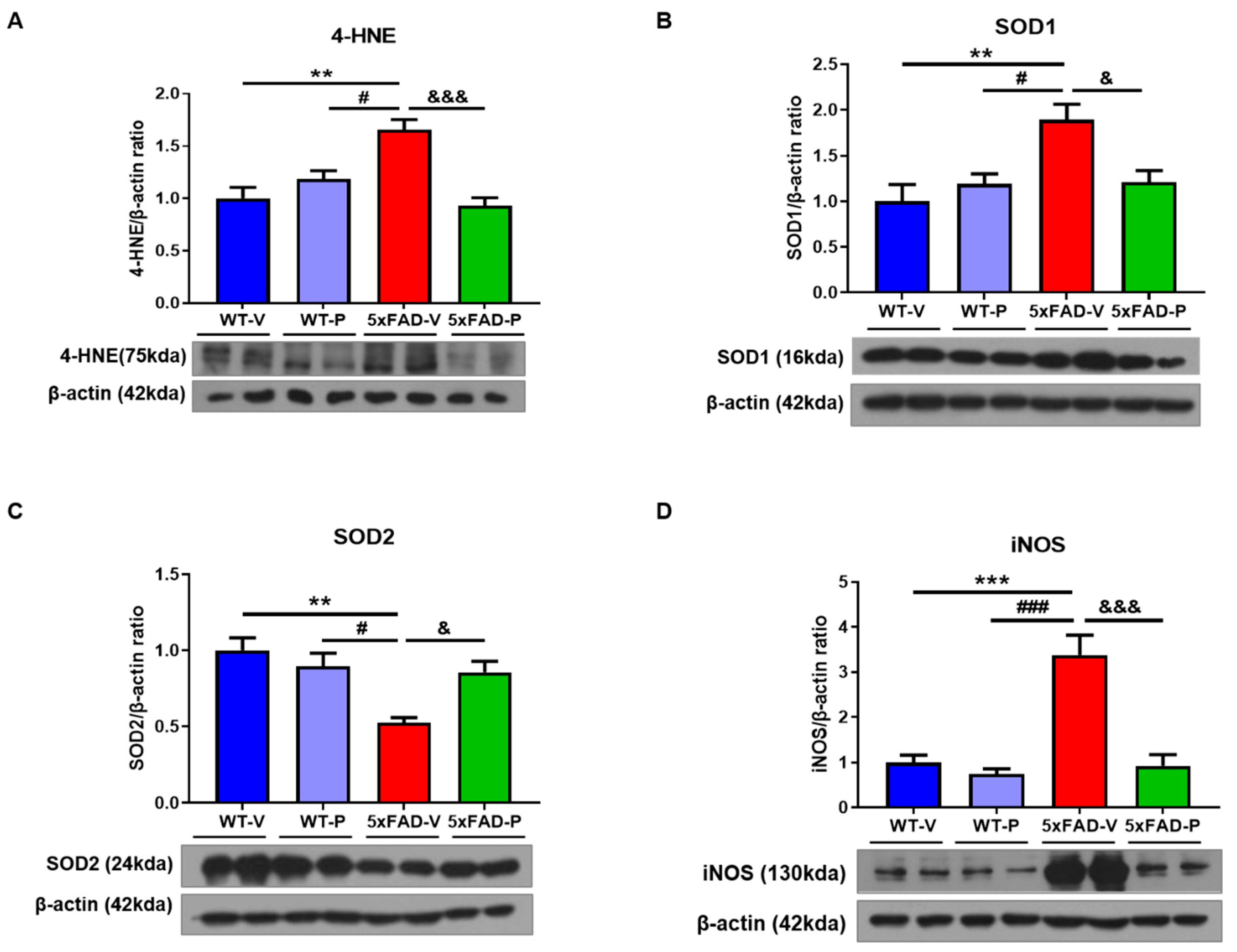Antioxidants 10 01321 g005 550