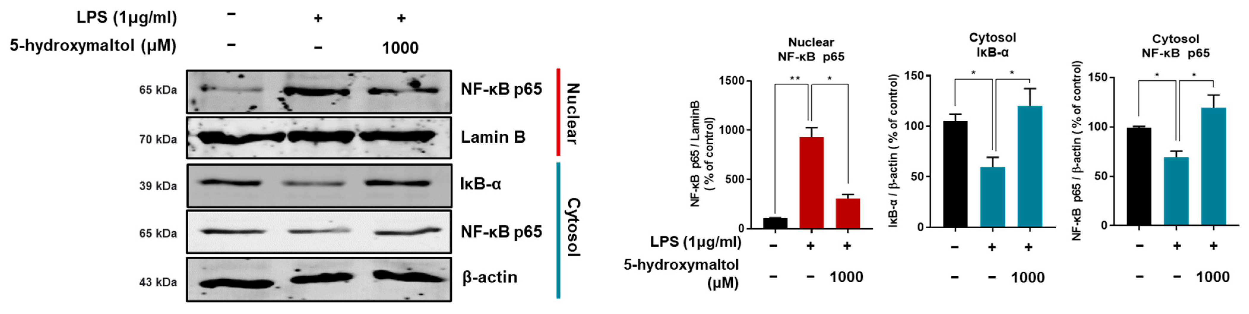 Antioxidants 10 01324 g005