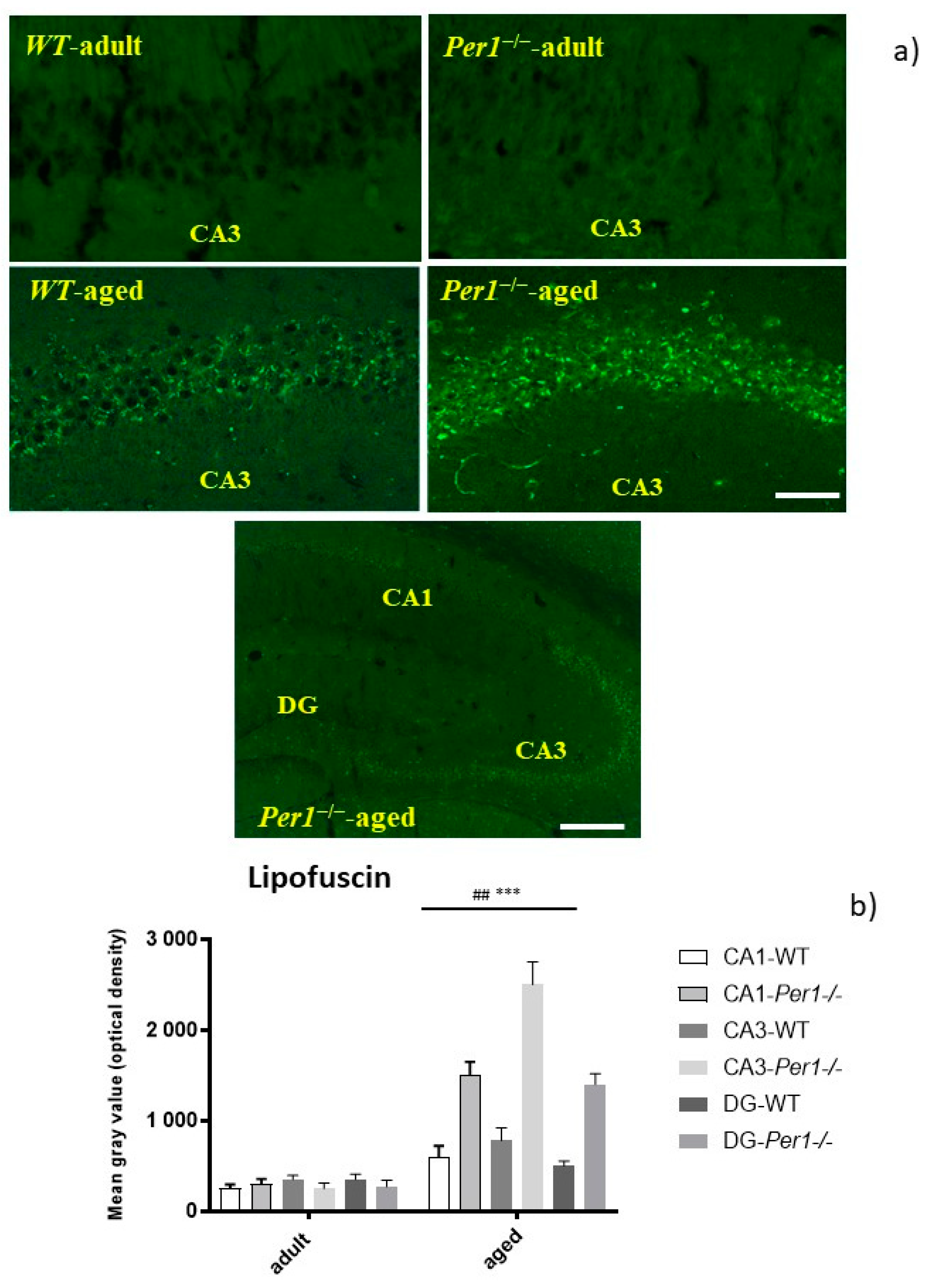 Antioxidants 10 01330 g001