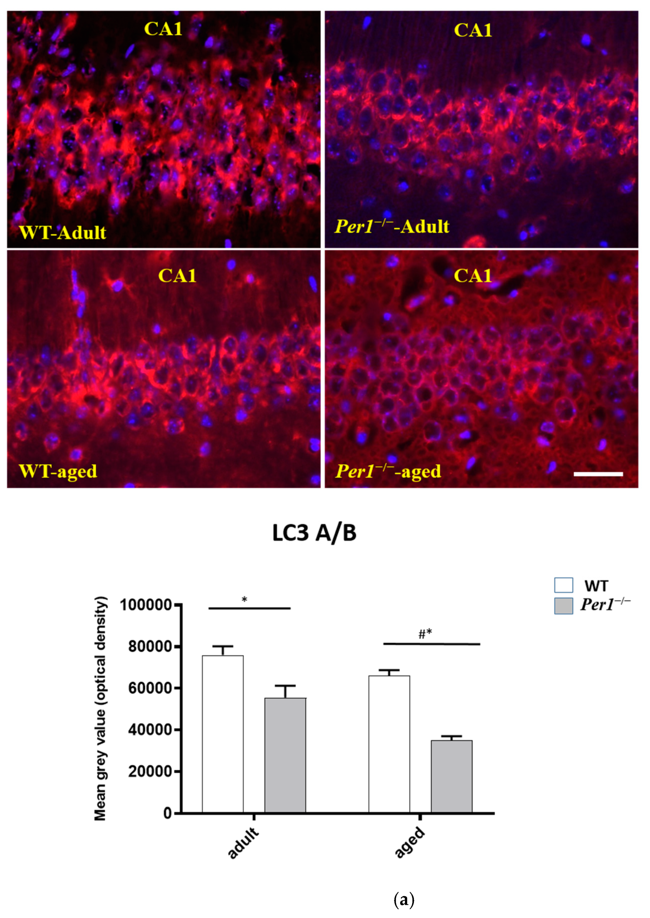 Antioxidants 10 01330 g002a