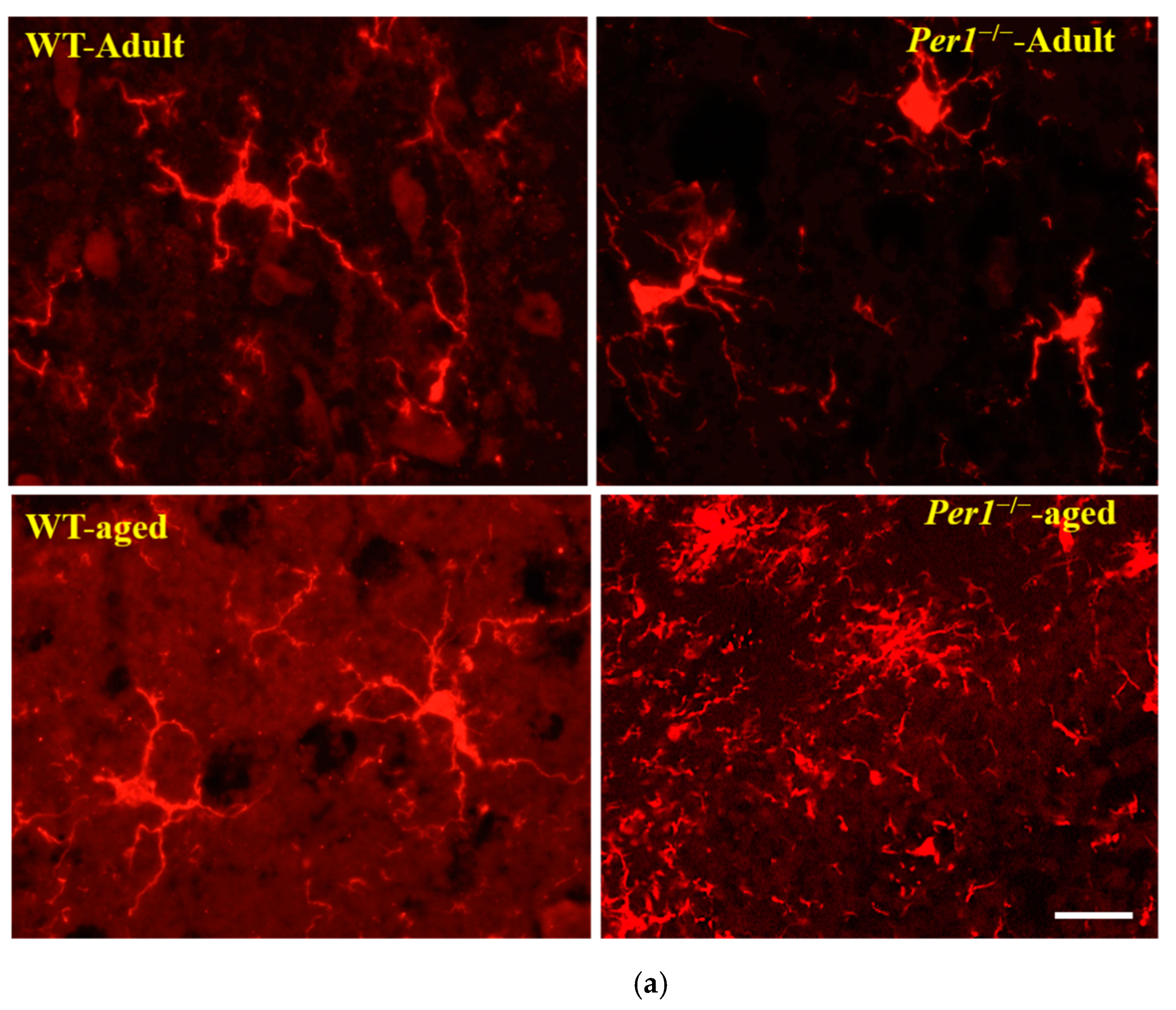 Antioxidants 10 01330 g003a