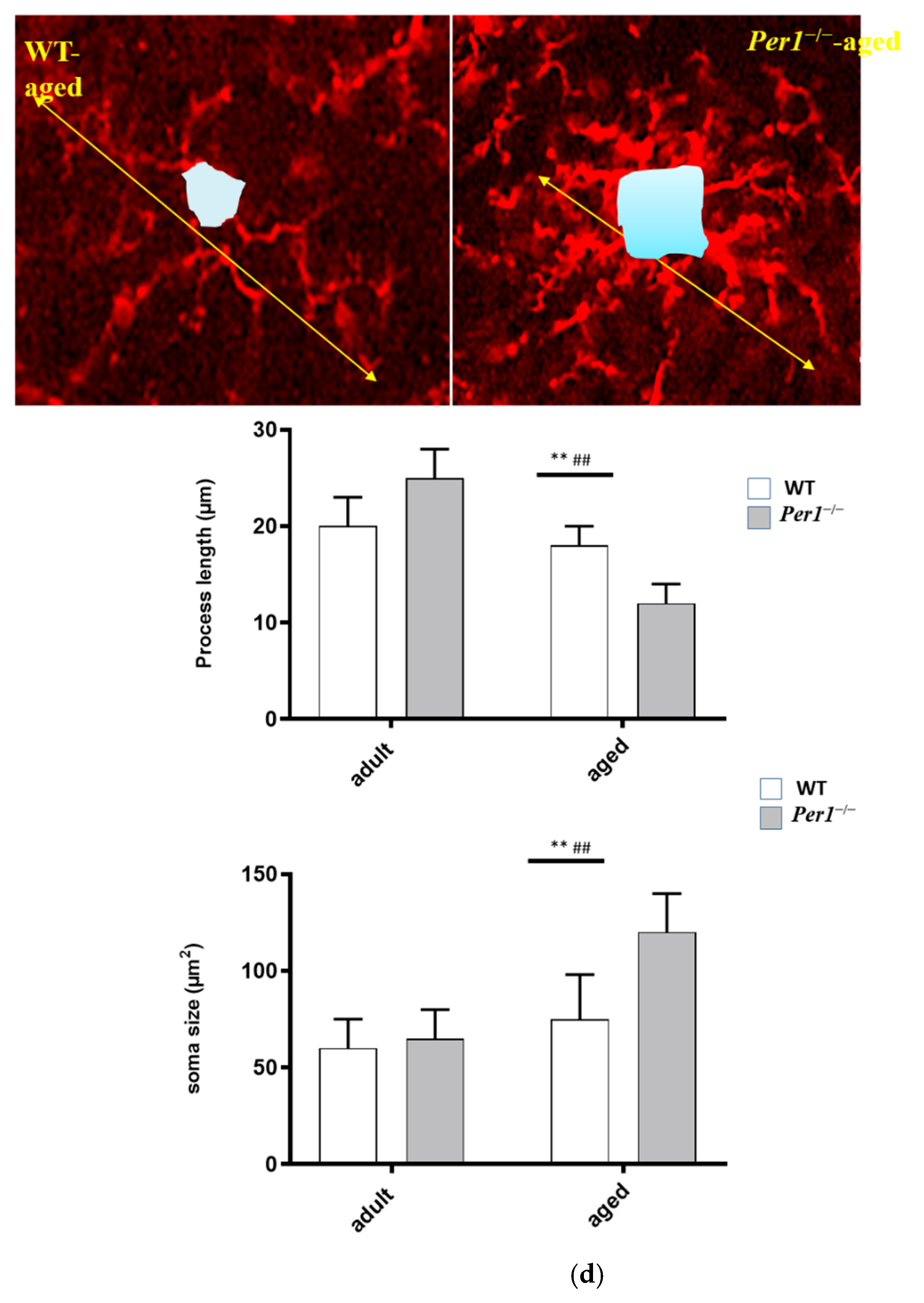 Antioxidants 10 01330 g003c