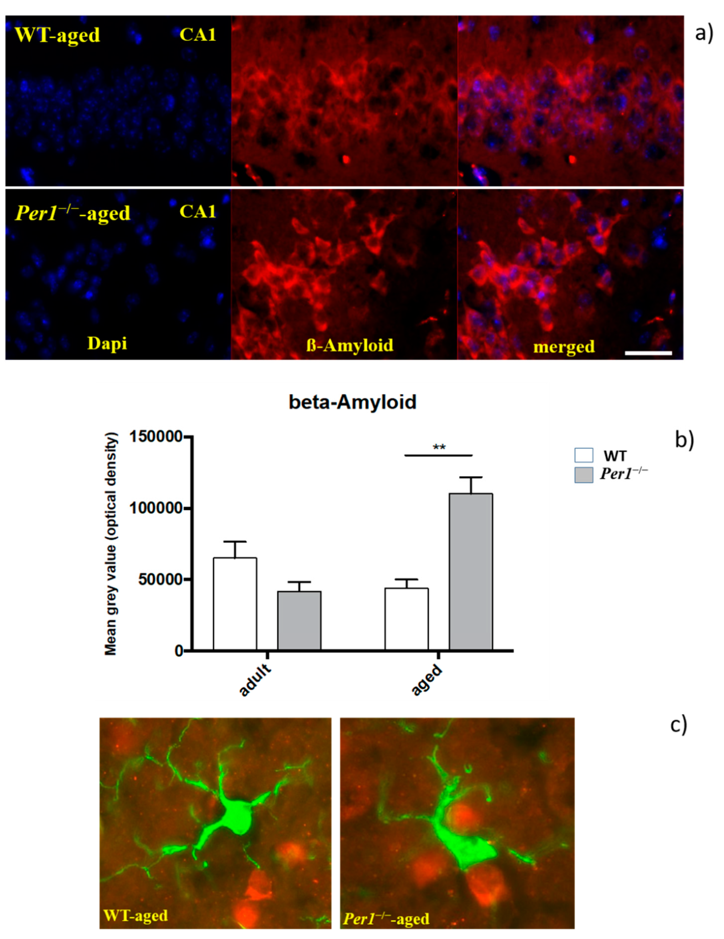 Antioxidants 10 01330 g004