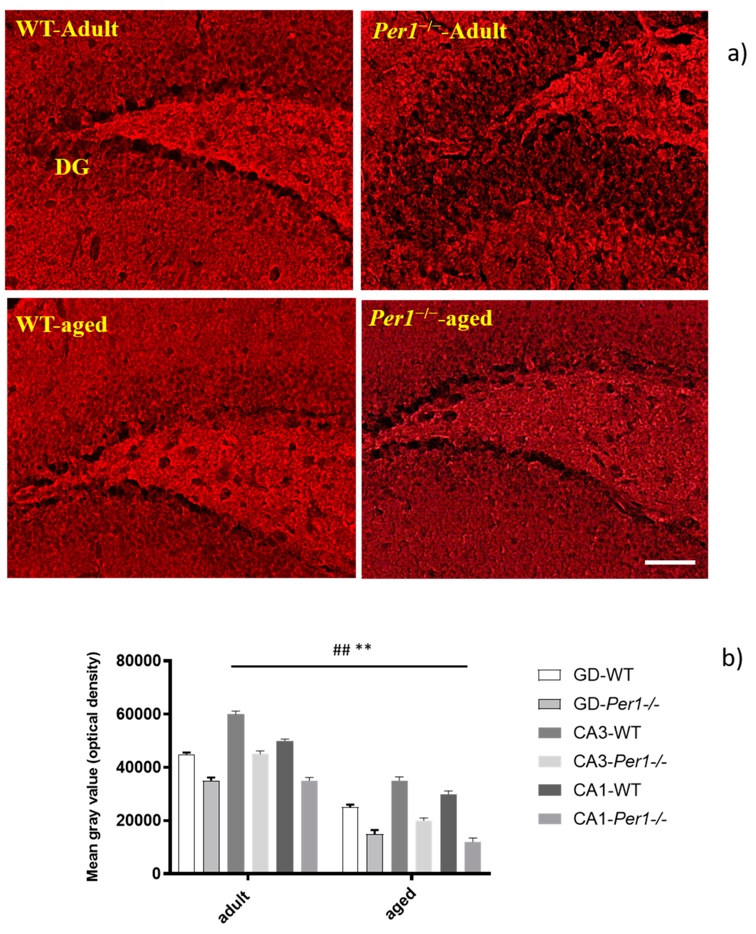 Antioxidants 10 01330 g006