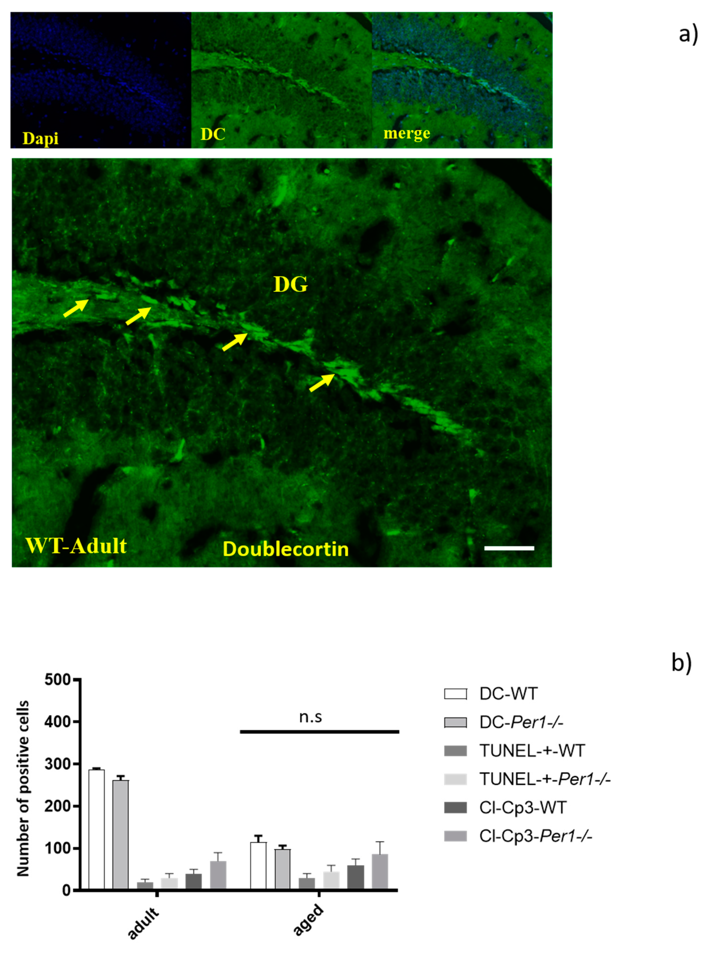 Antioxidants 10 01330 g007