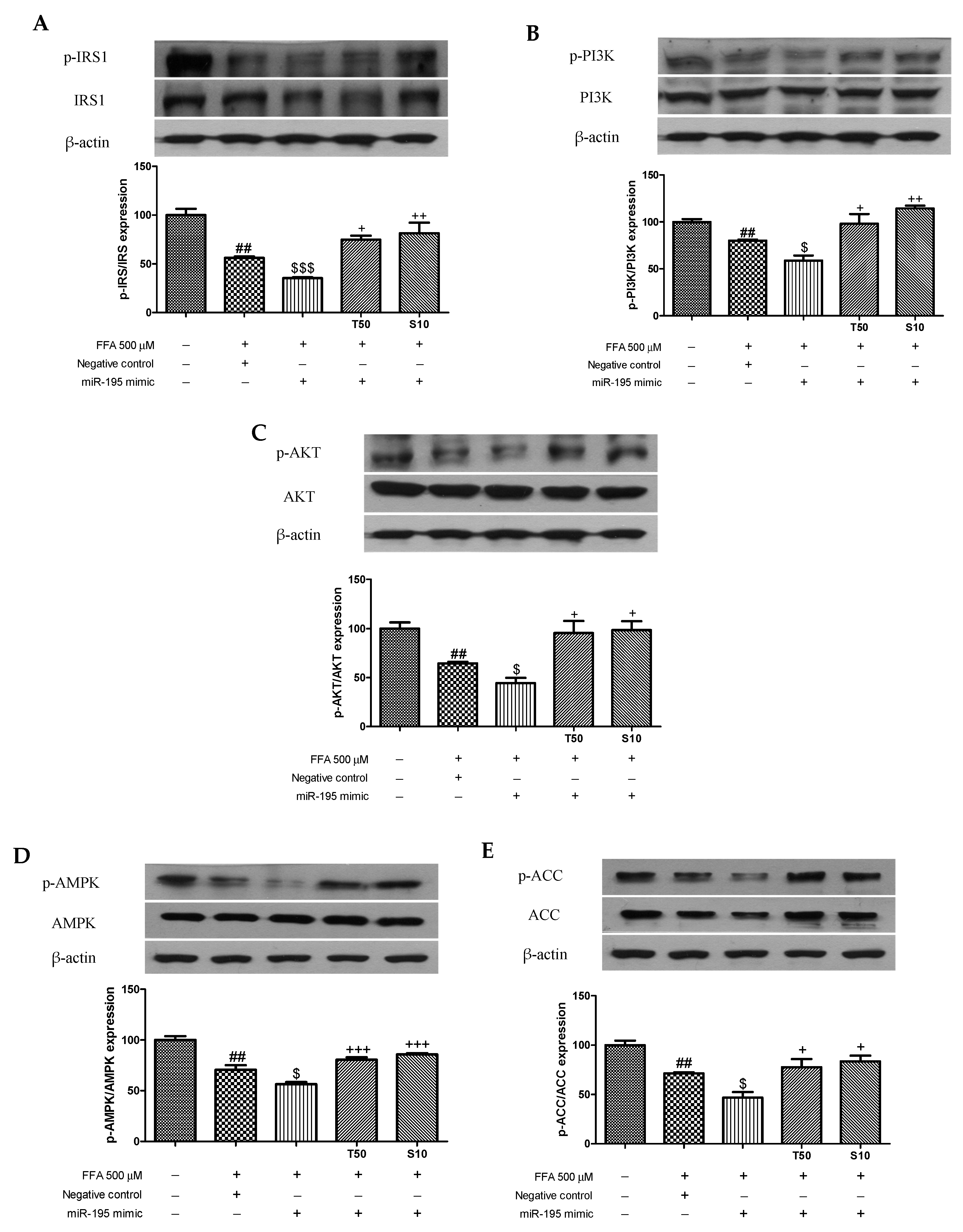 Antioxidants 10 01331 g005