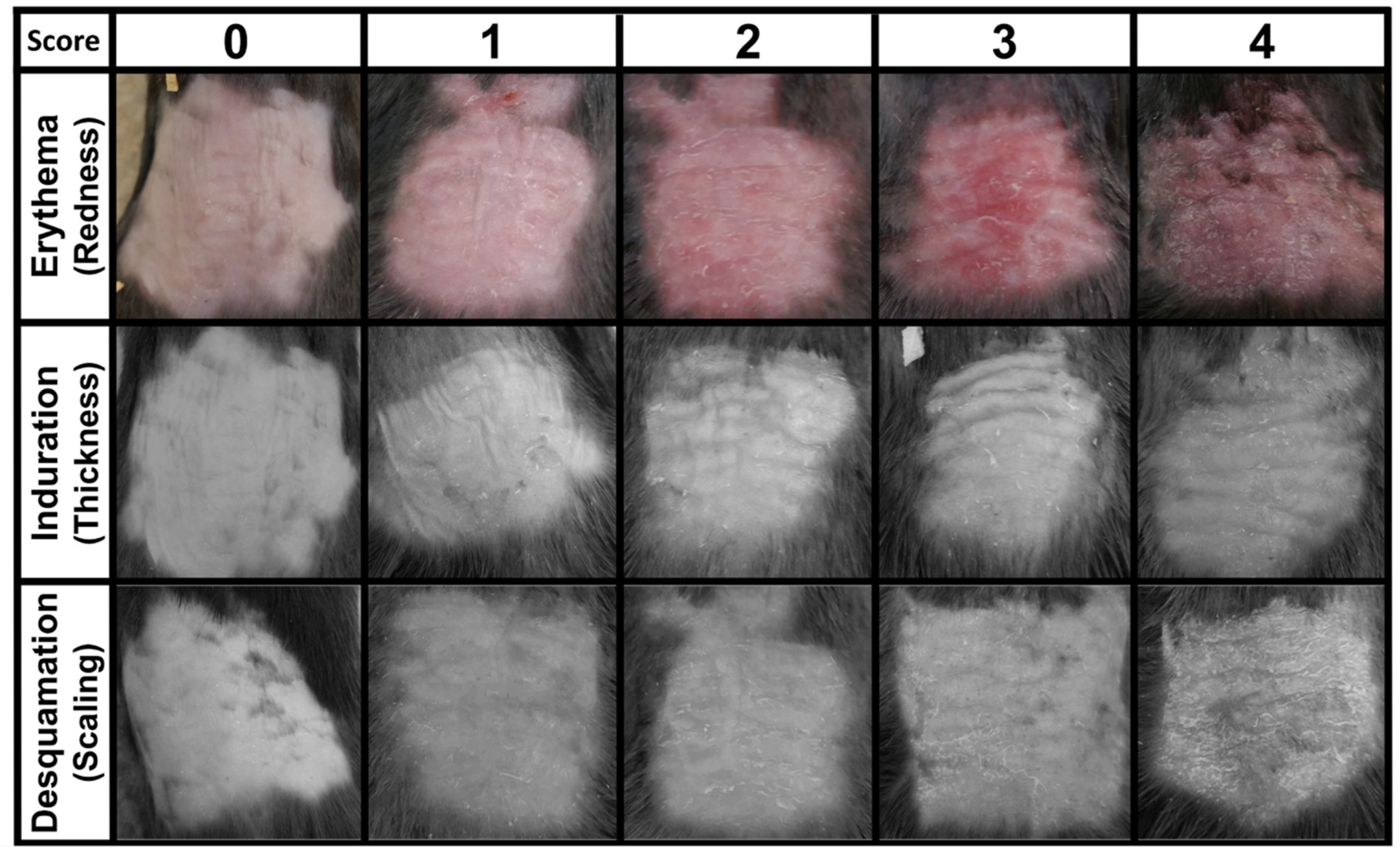 Antioxidants 10 01338 g002 Antioxidants 10 01338 g002