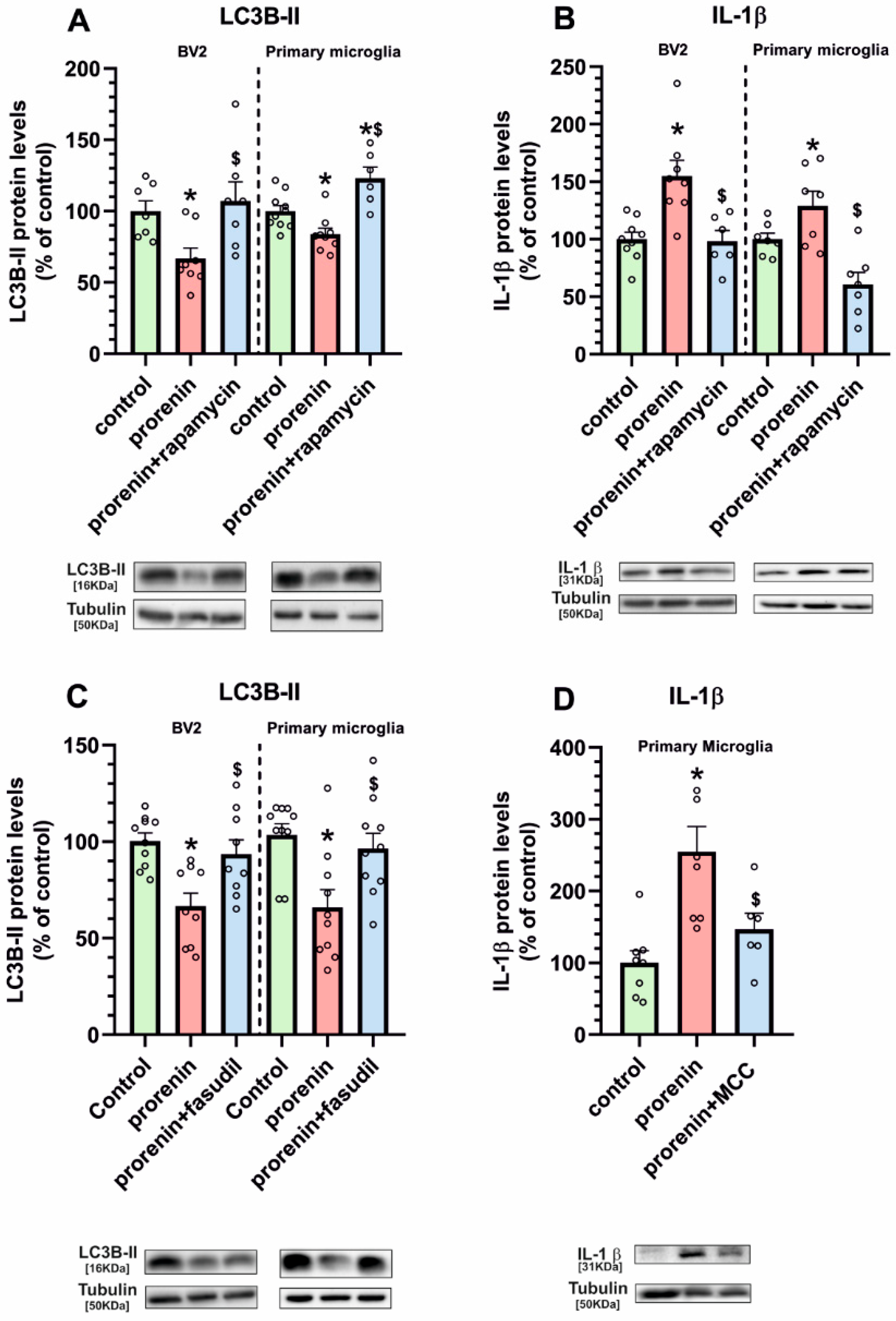 Antioxidants 10 01340 g007