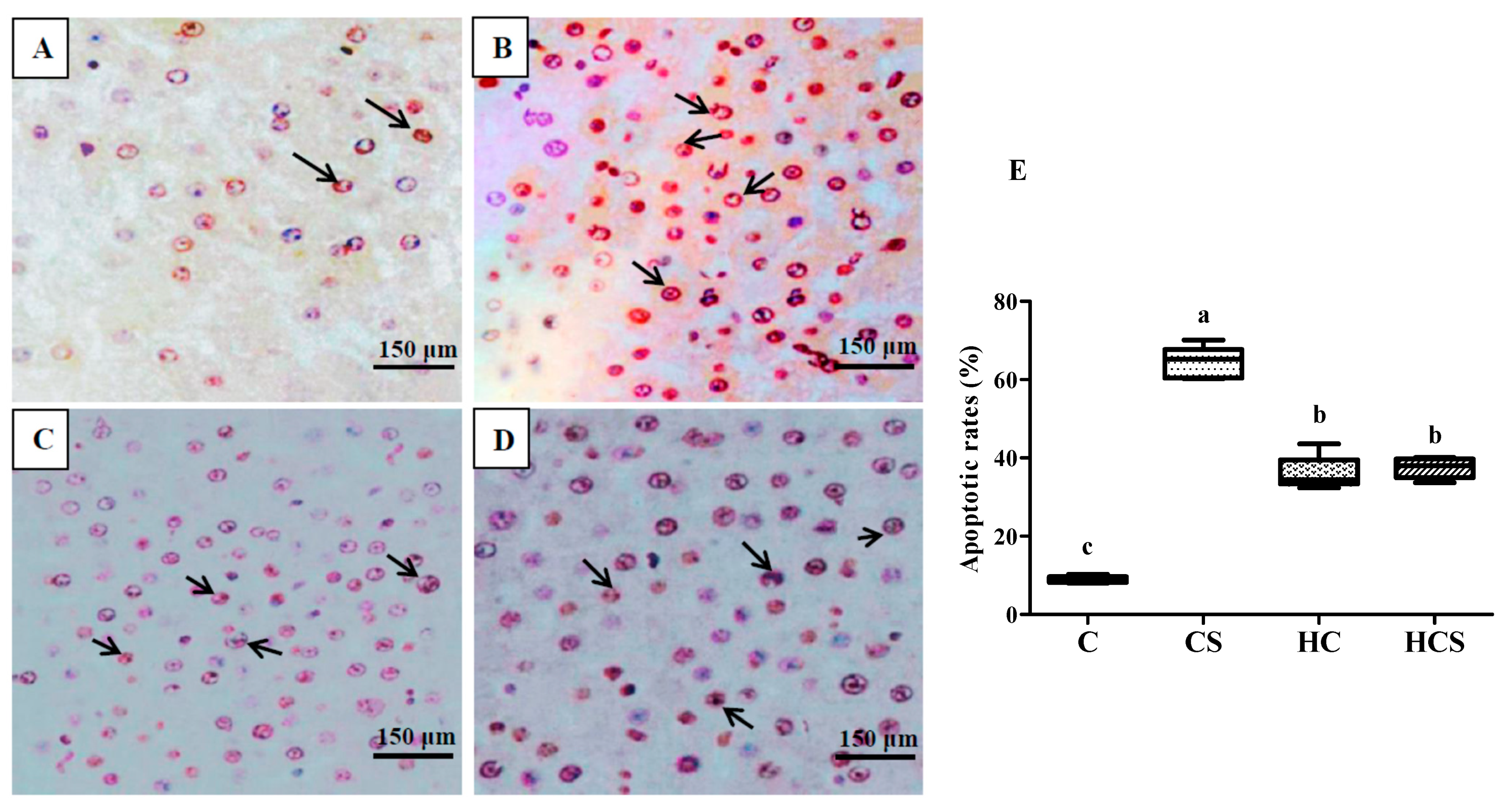 Antioxidants 10 01343 g002 550