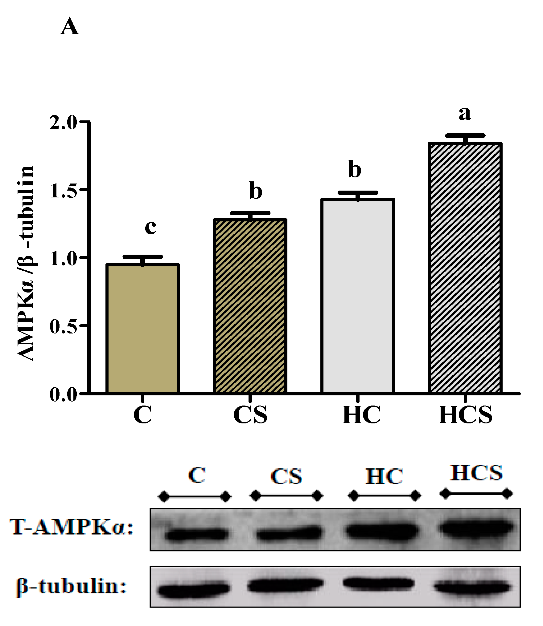 Antioxidants 10 01343 g004a 550