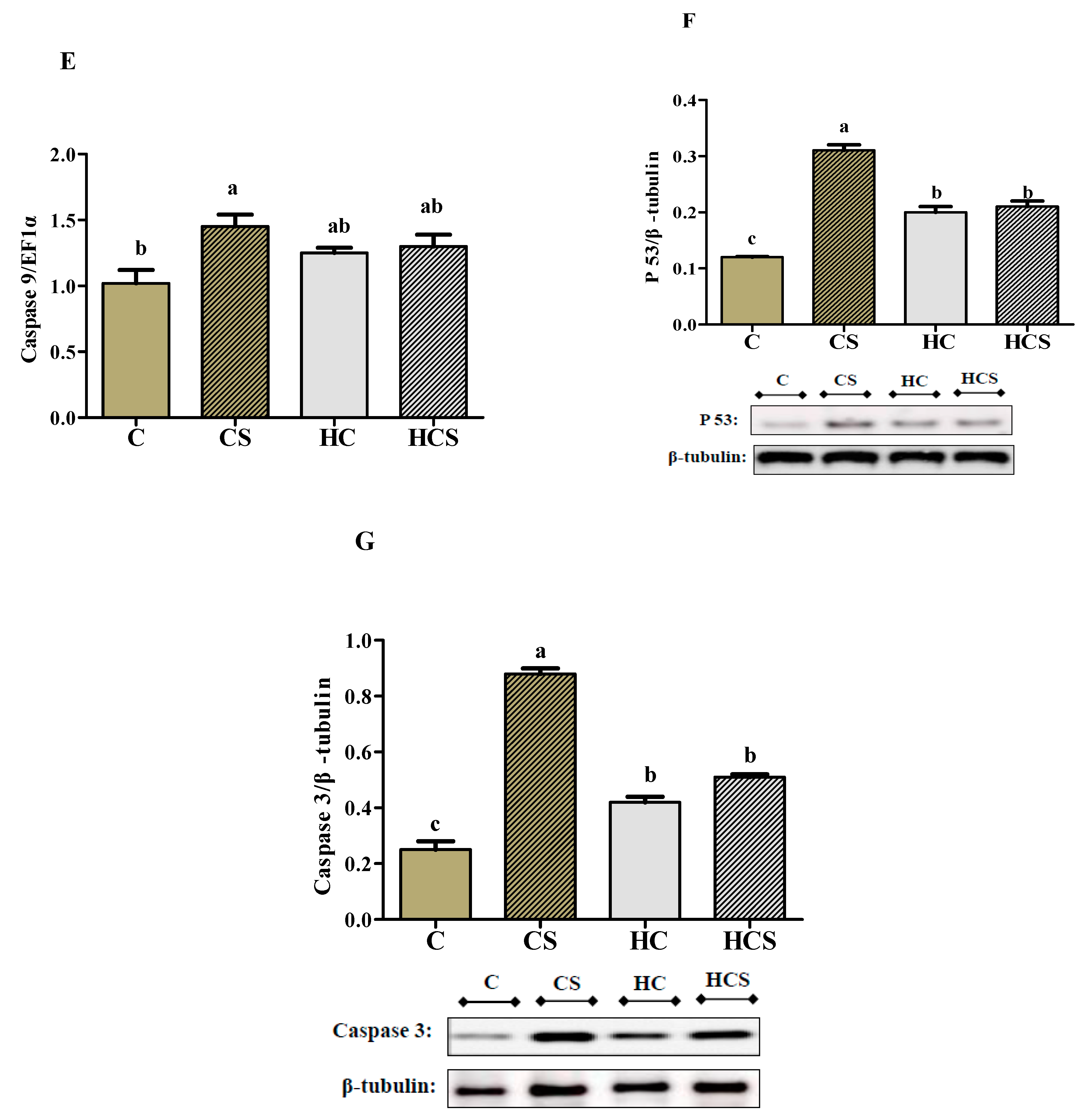Antioxidants 10 01343 g007b 550