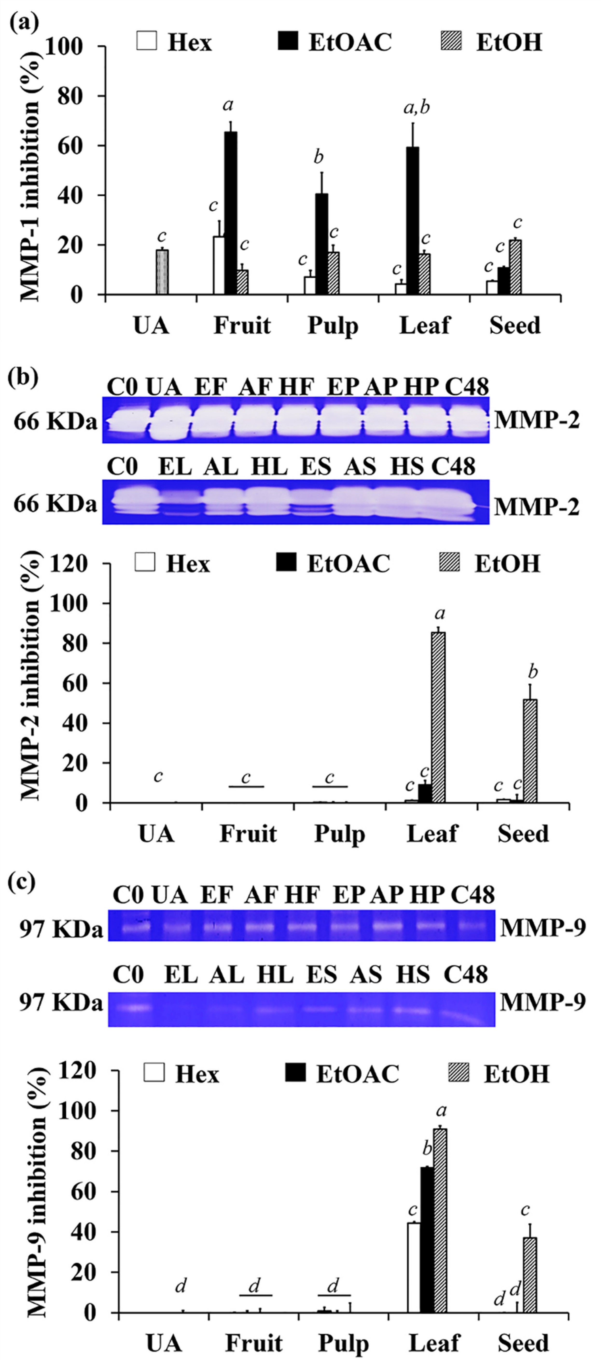Antioxidants 10 01345 g004