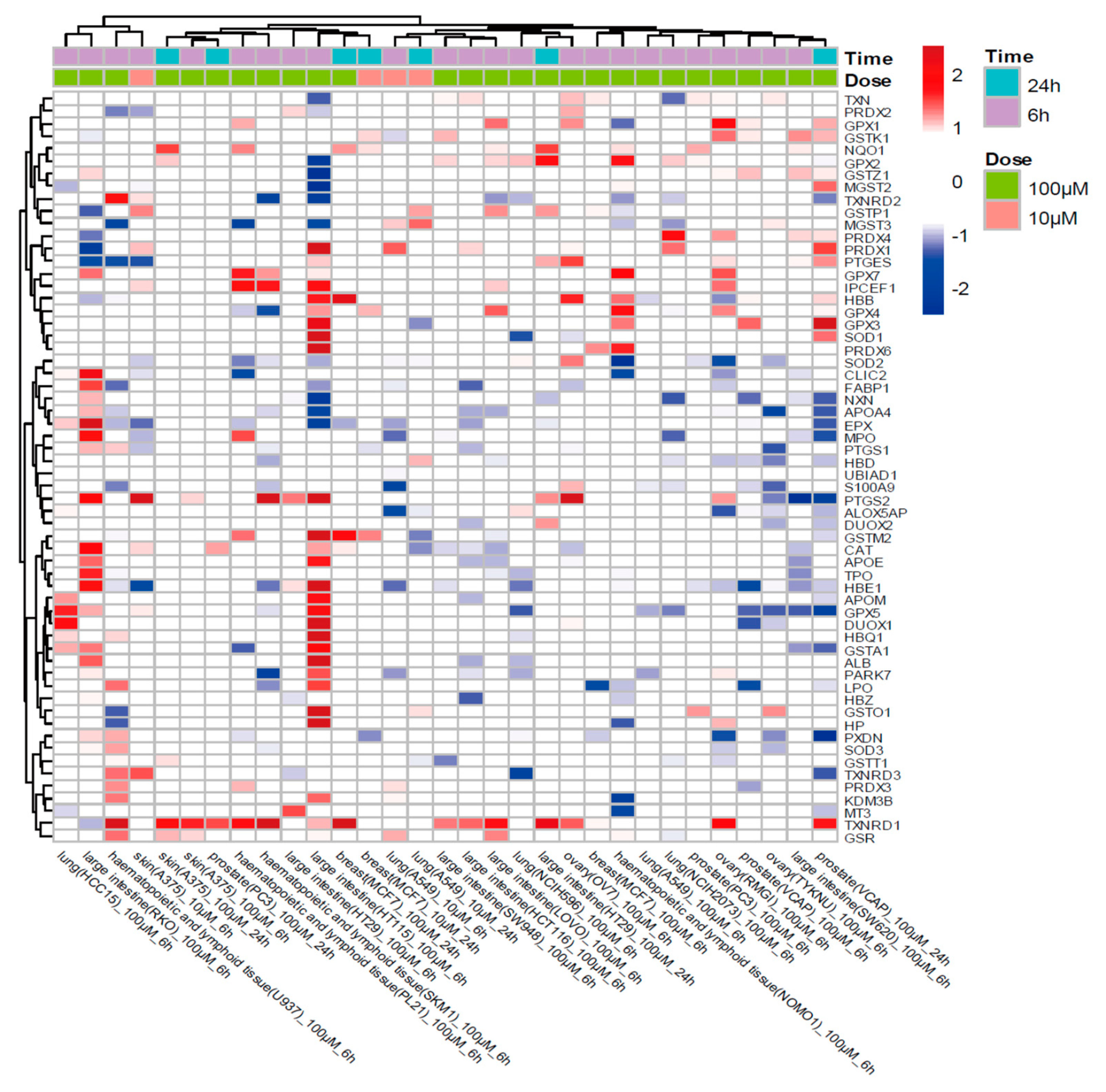 Antioxidants 10 01347 g005