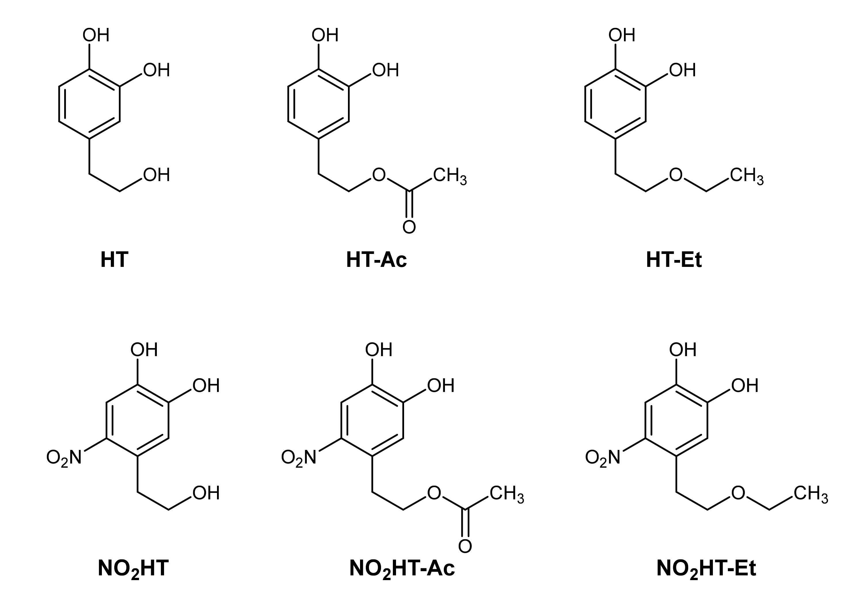 Antioxidants 10 01348 g001 Antioxidants 10 01348 g001