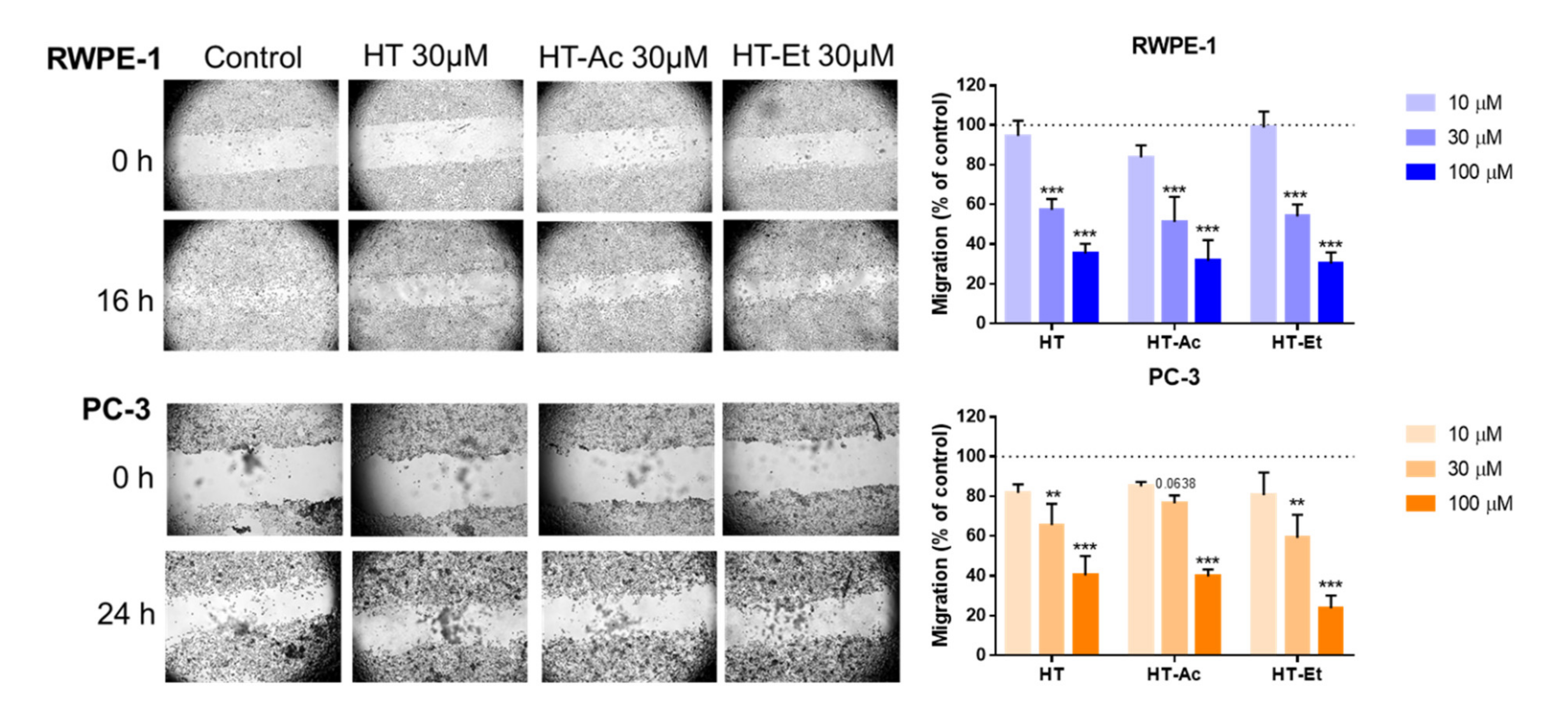 Antioxidants 10 01348 g003 Antioxidants 10 01348 g003