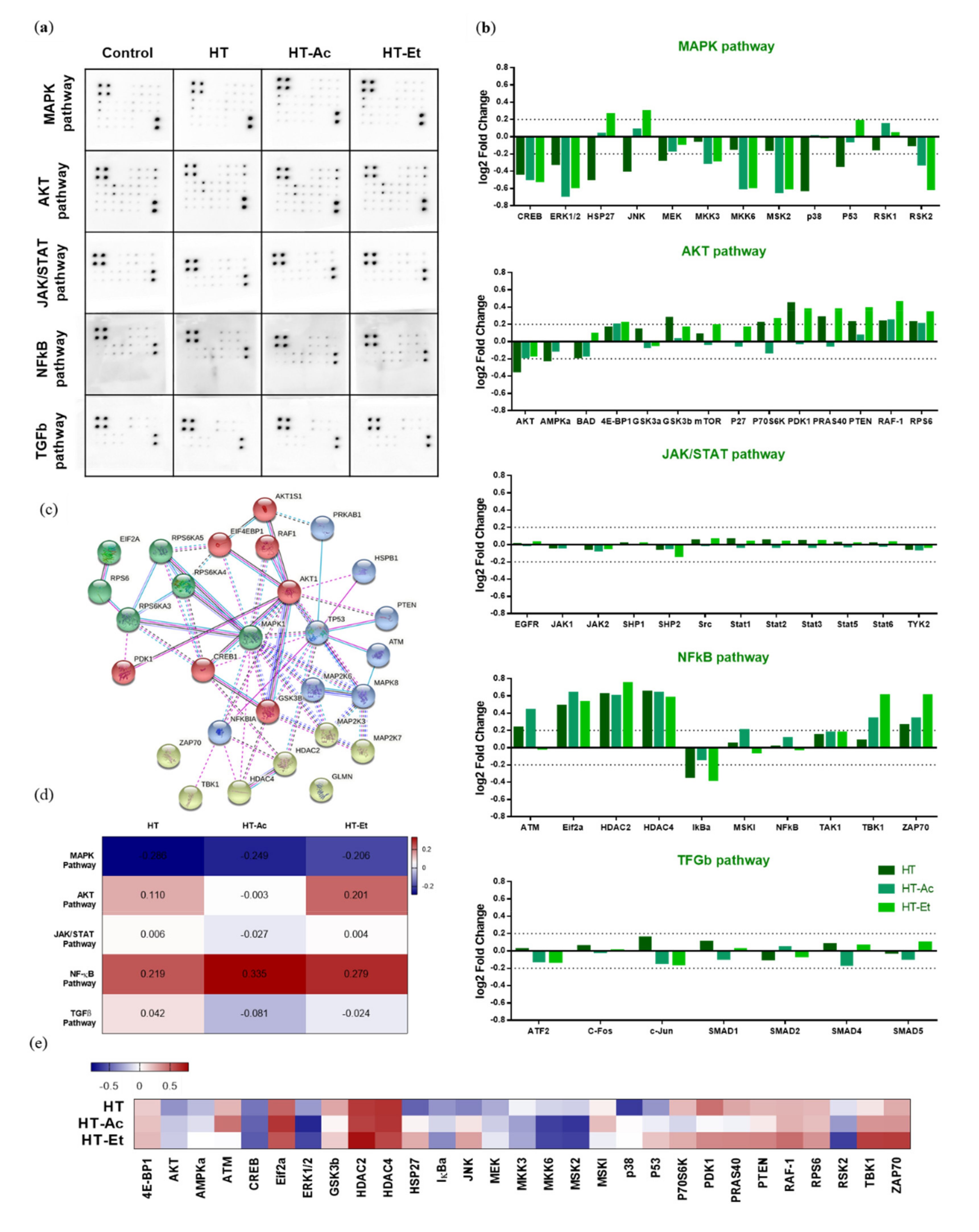 Antioxidants 10 01348 g005 Antioxidants 10 01348 g005