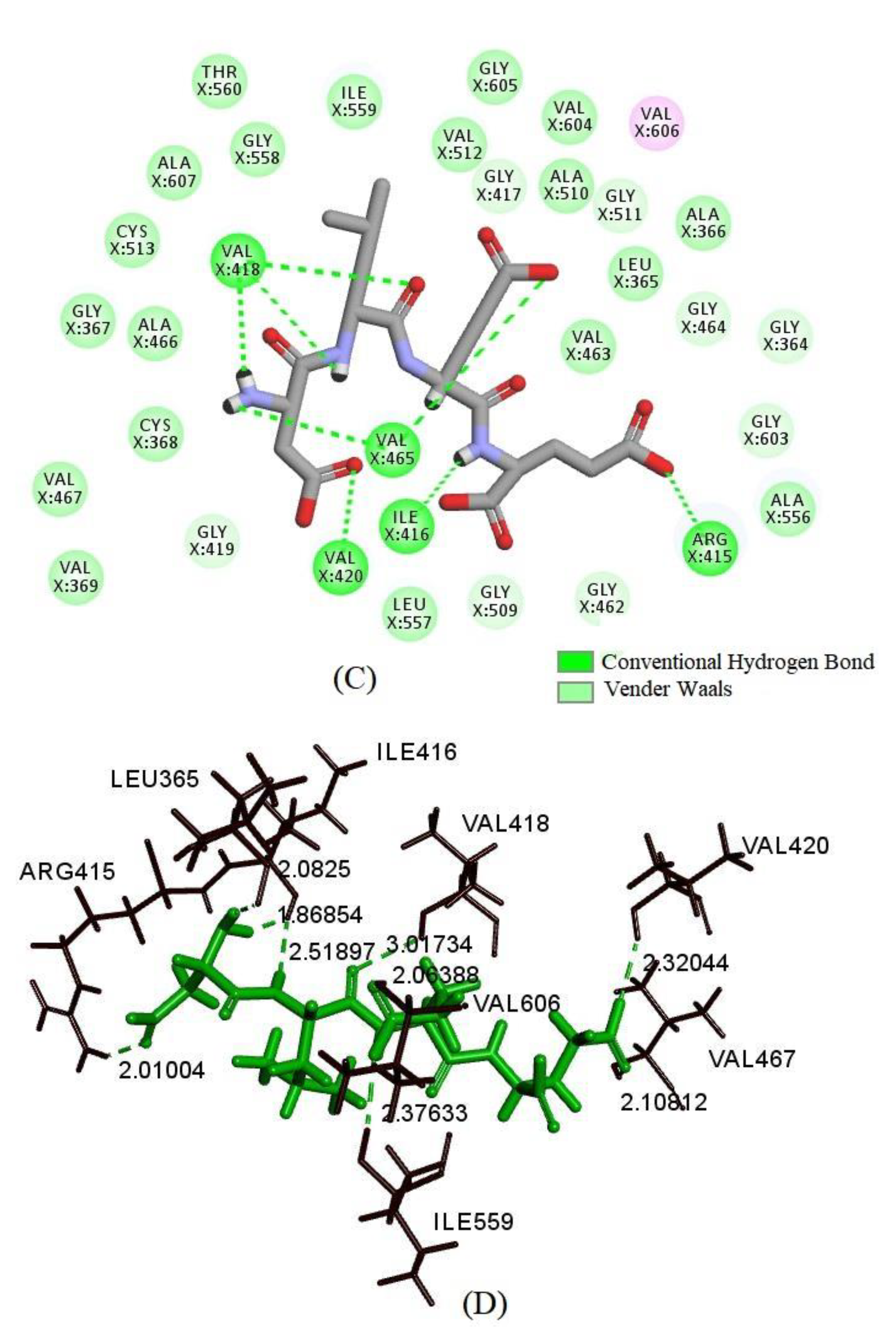 Antioxidants 10 01354 g006b