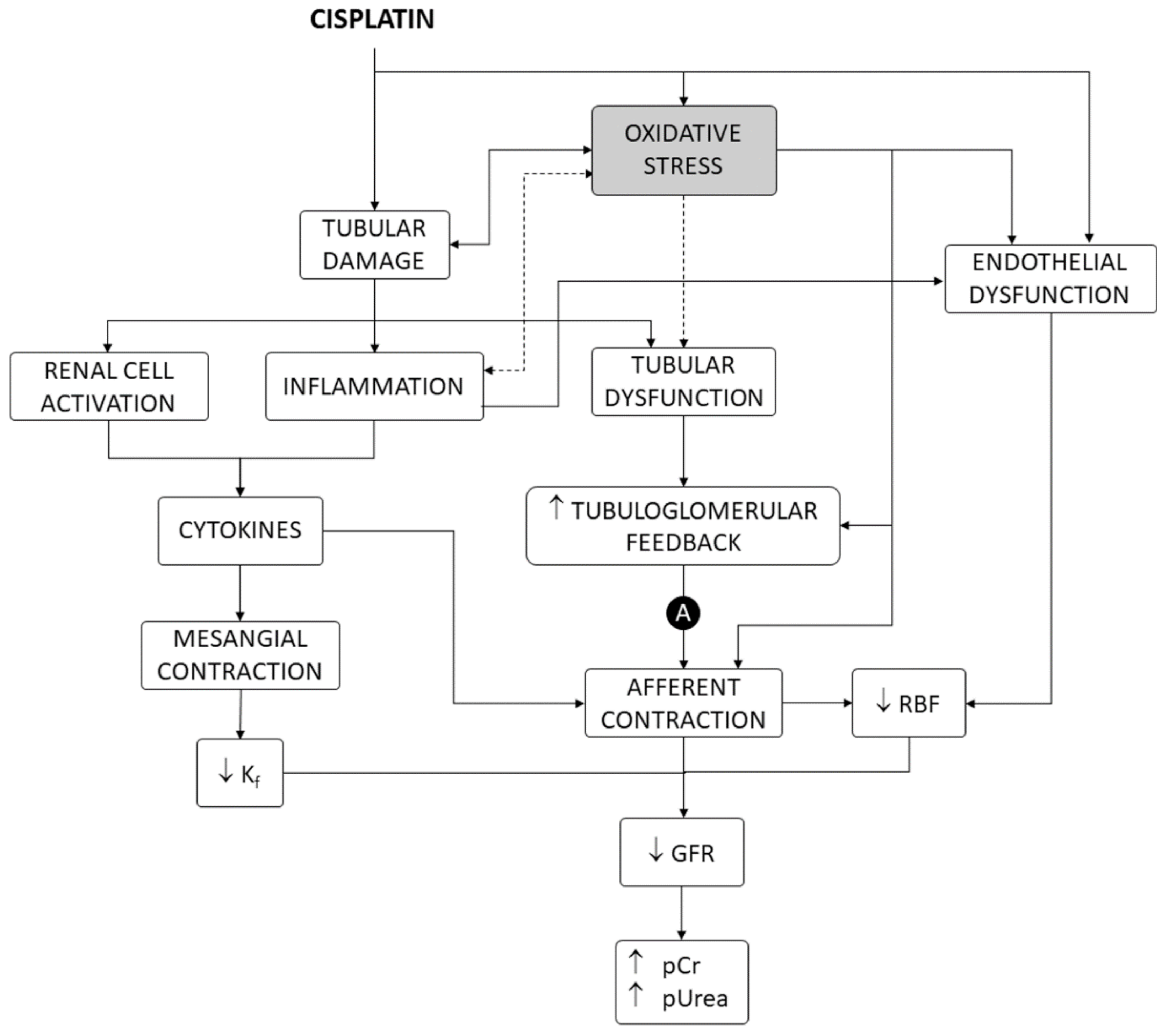 Antioxidants 10 01355 g001