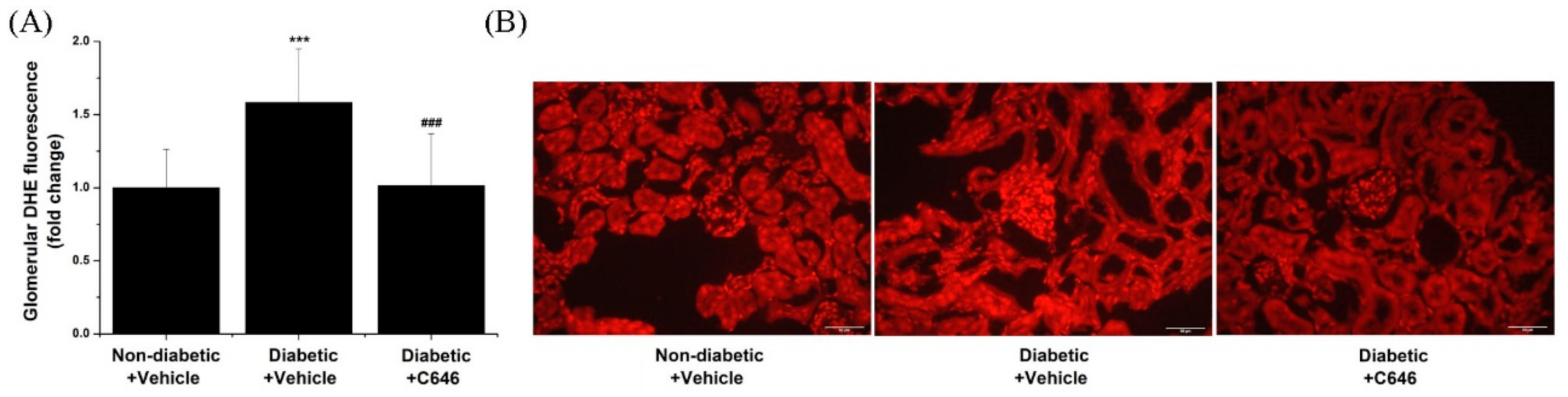 Antioxidants 10 01356 g005 550