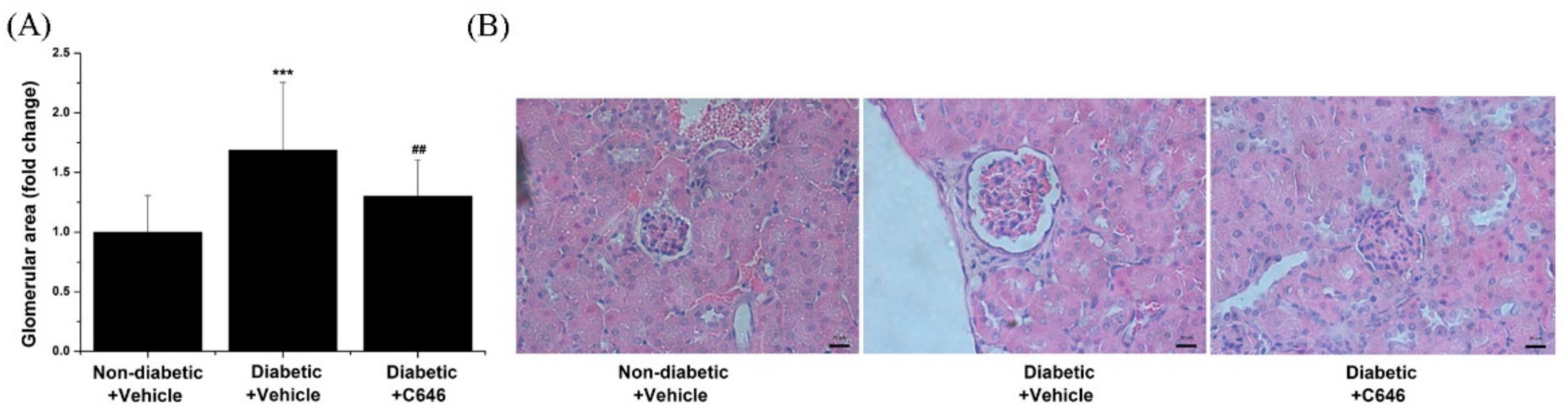 Antioxidants 10 01356 g008 550