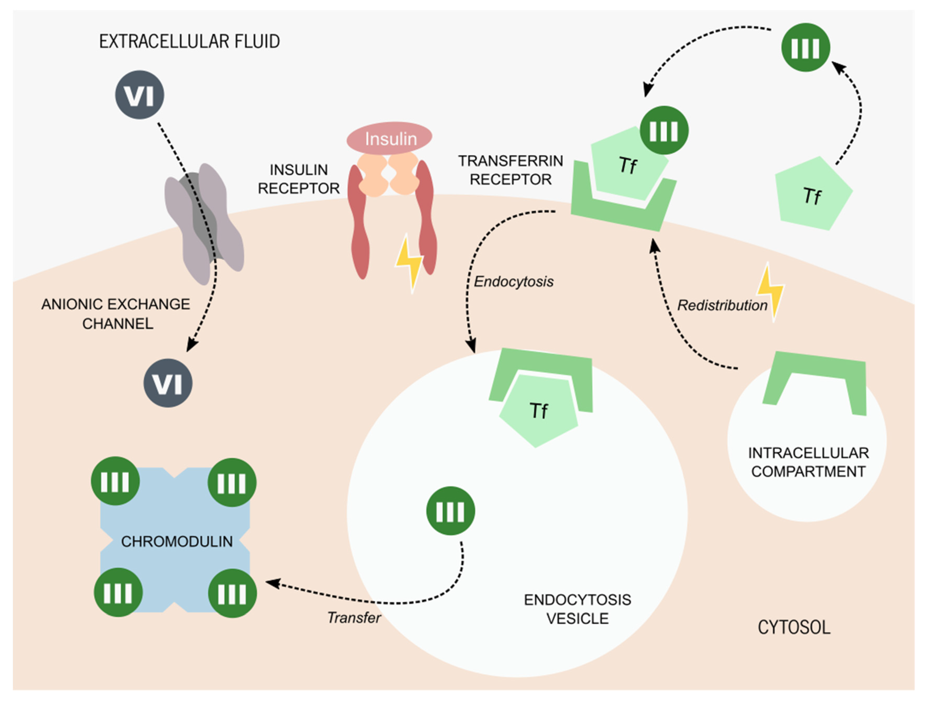 Antioxidants 10 01365 g002